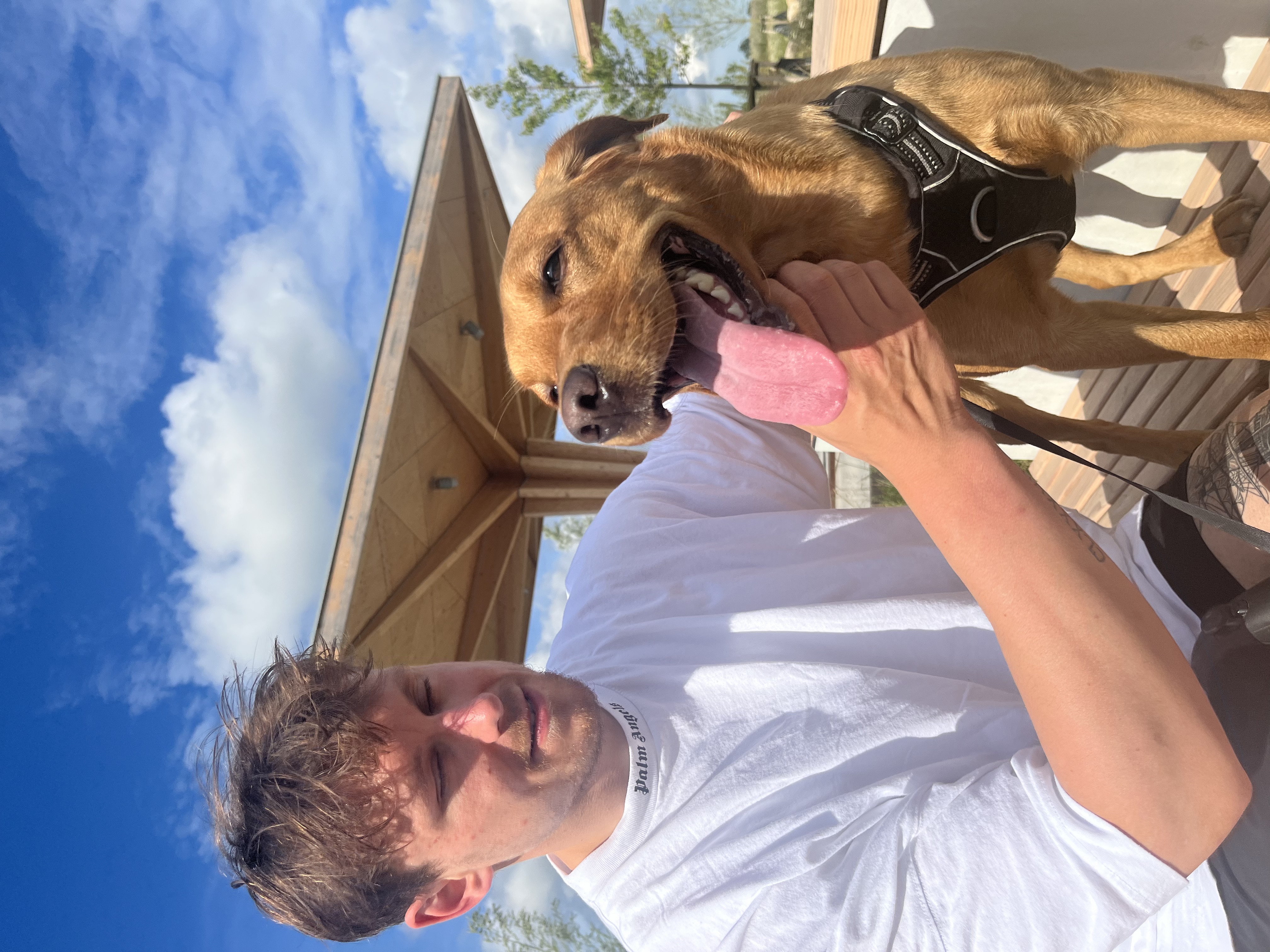 image-8