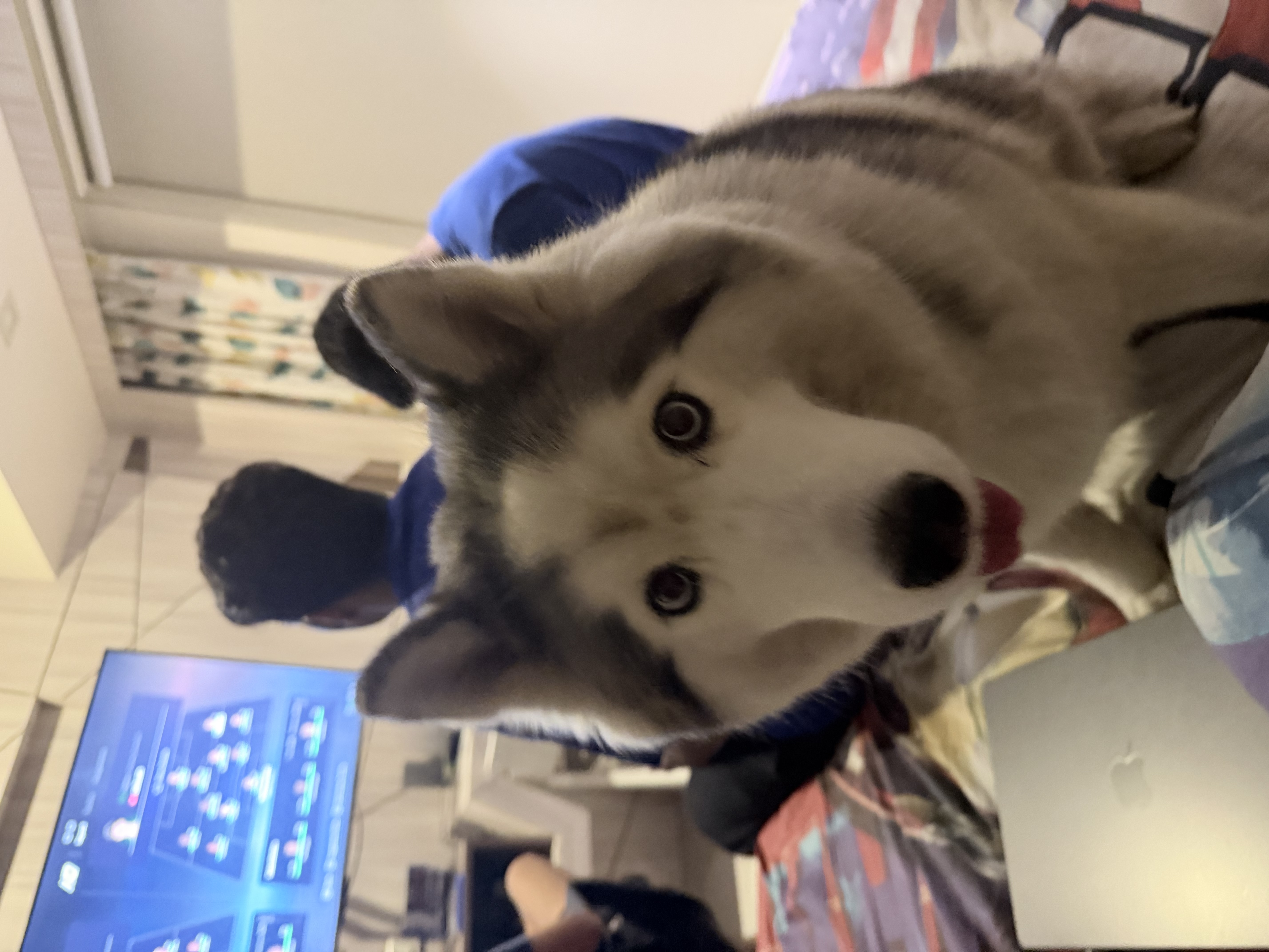 image-8
