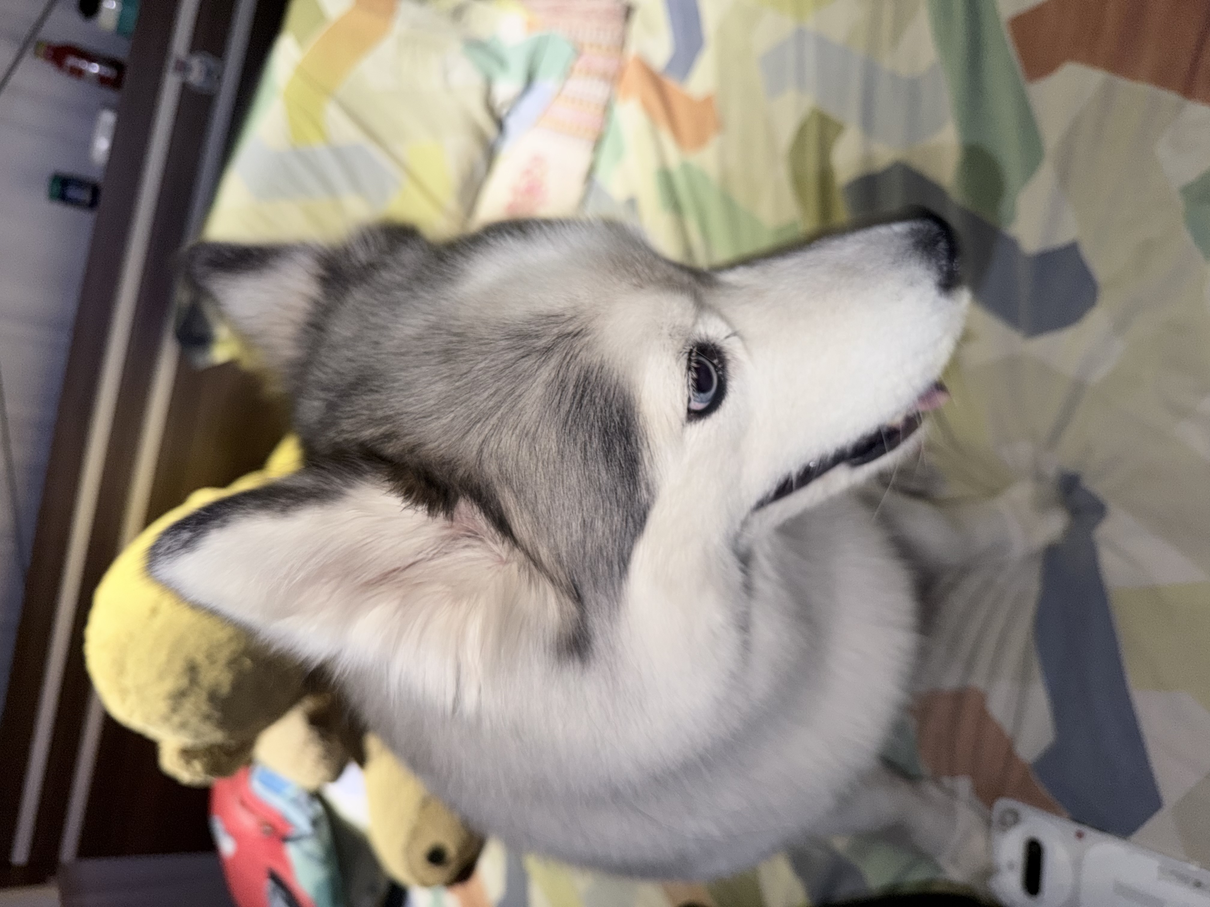 image-6