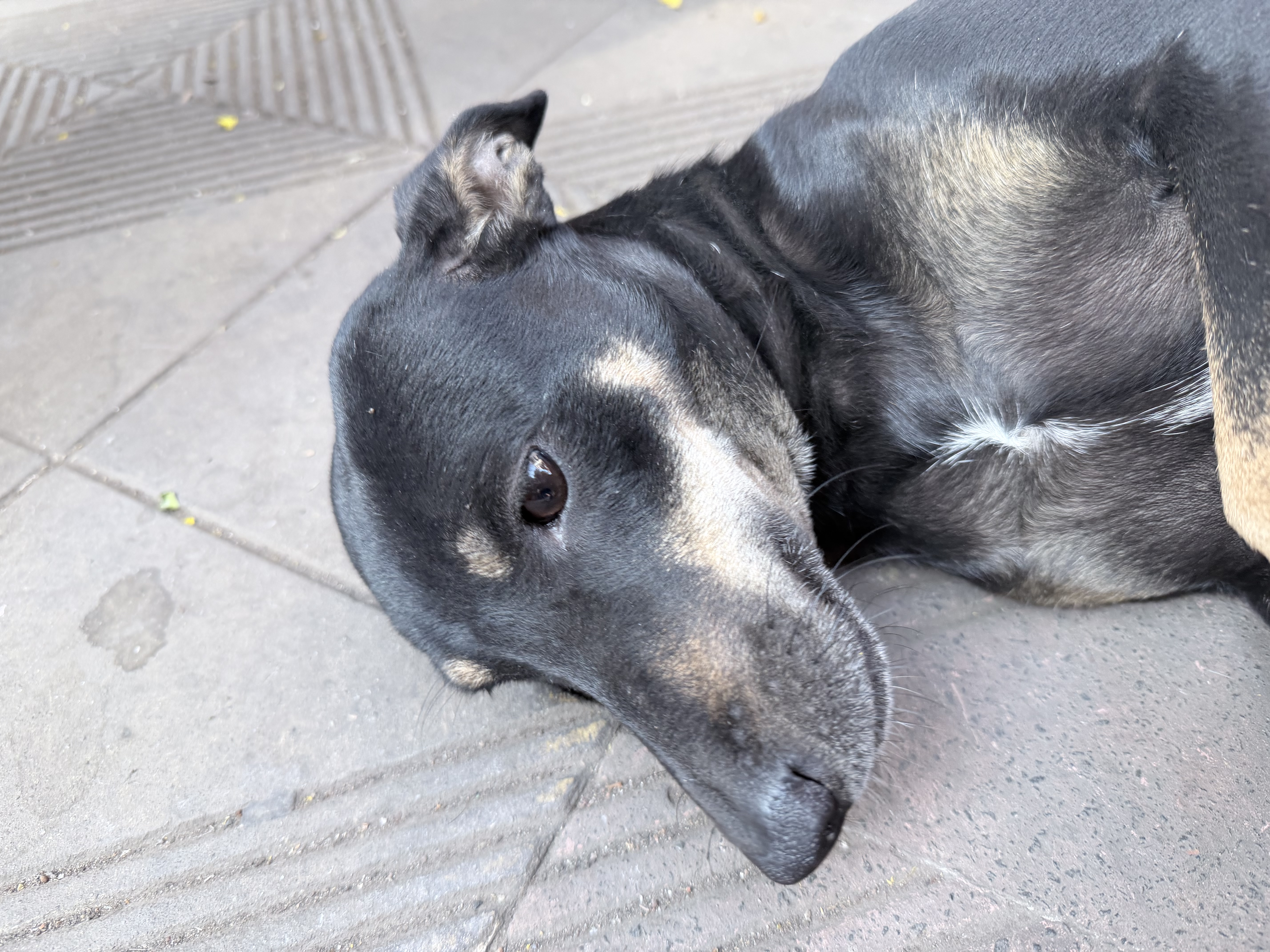 image-10