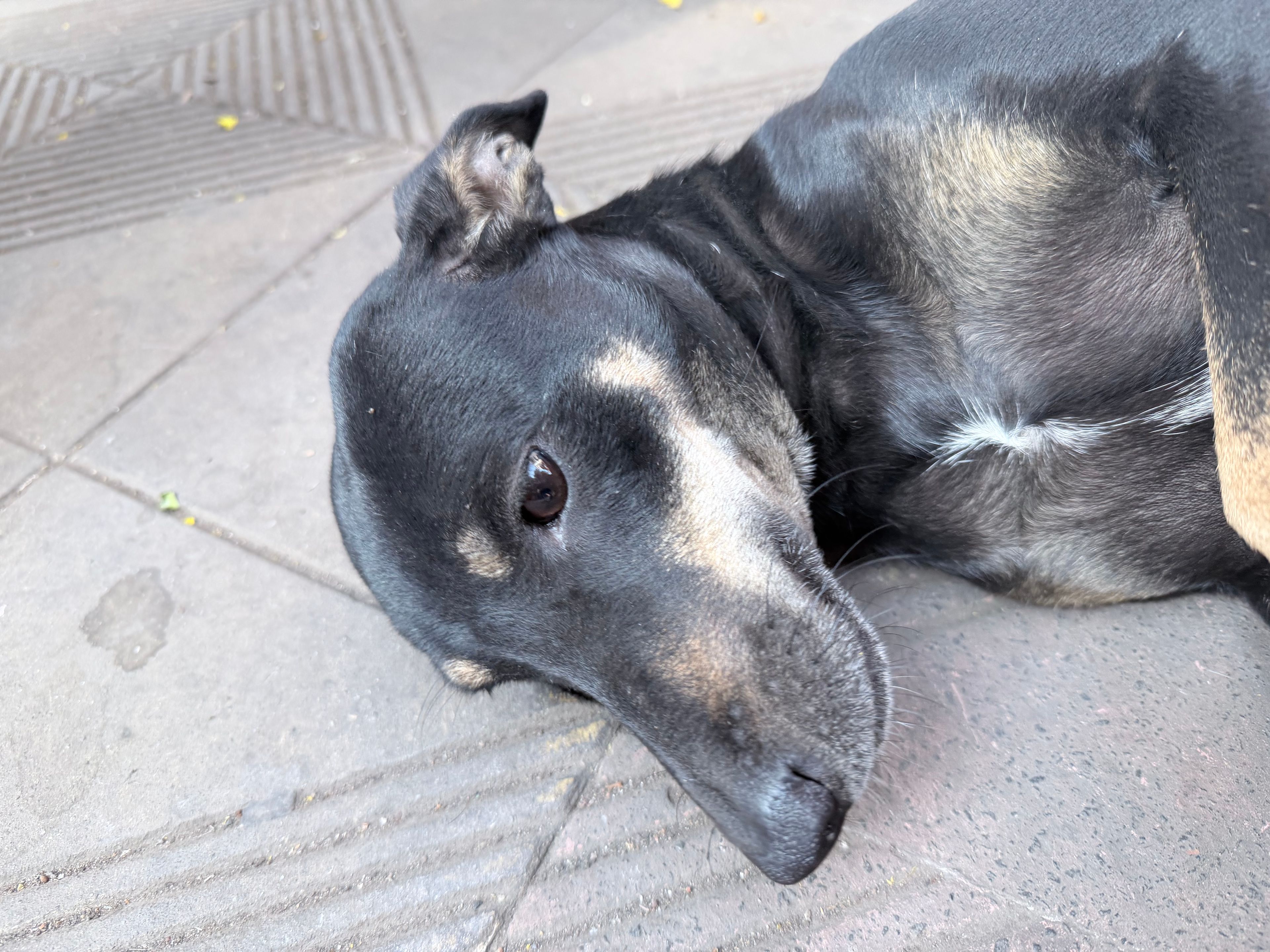 image-10