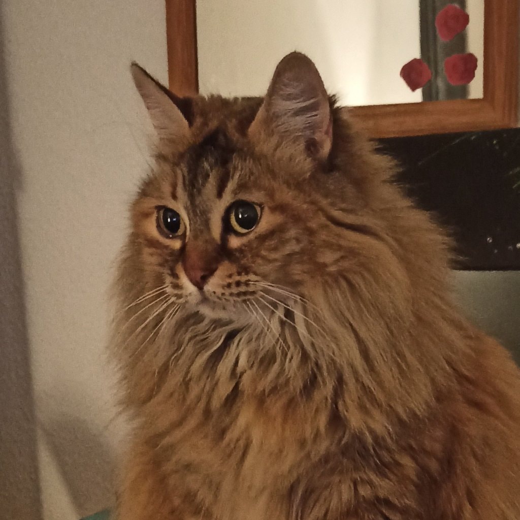 Penelope