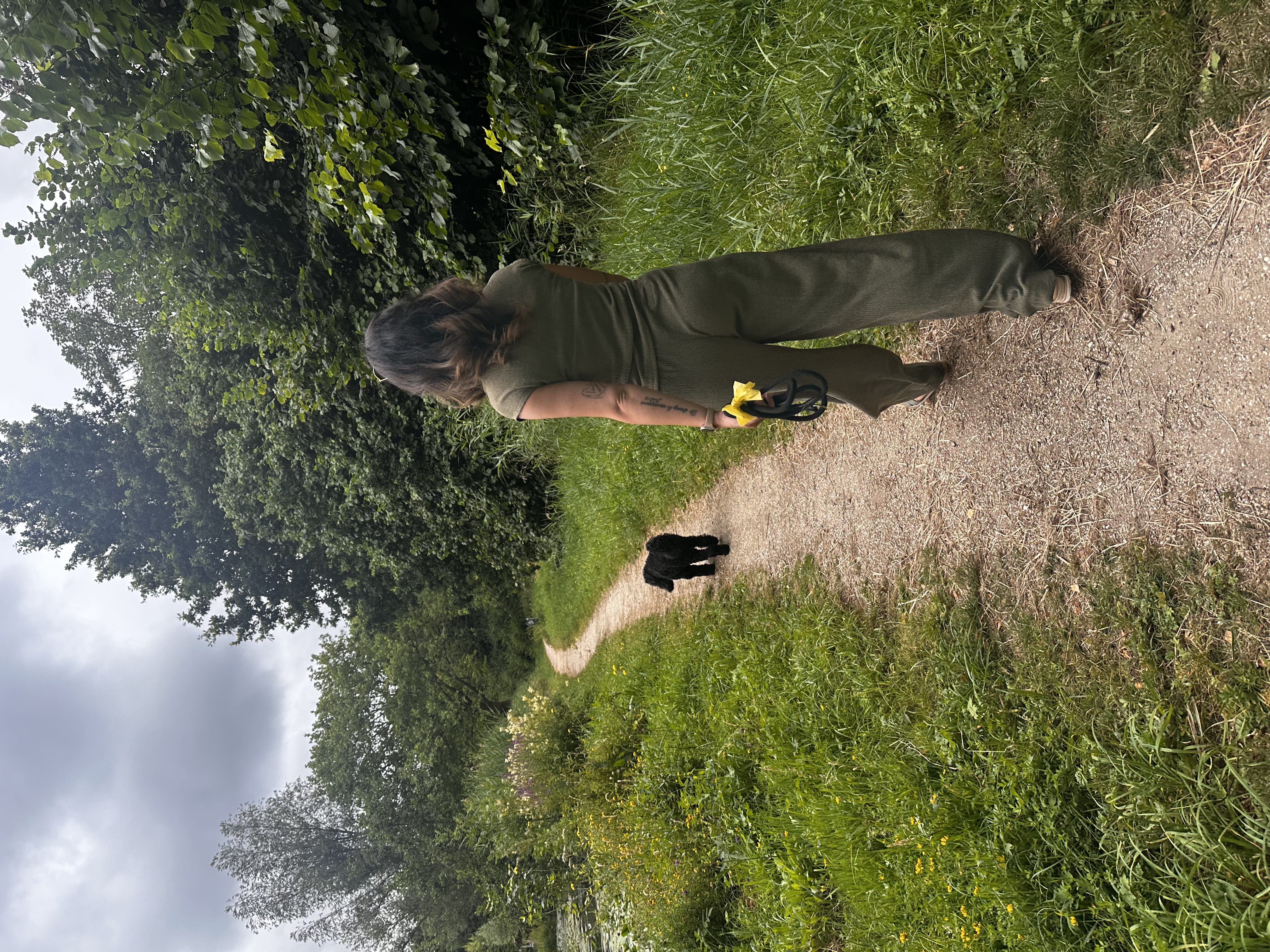 image-18