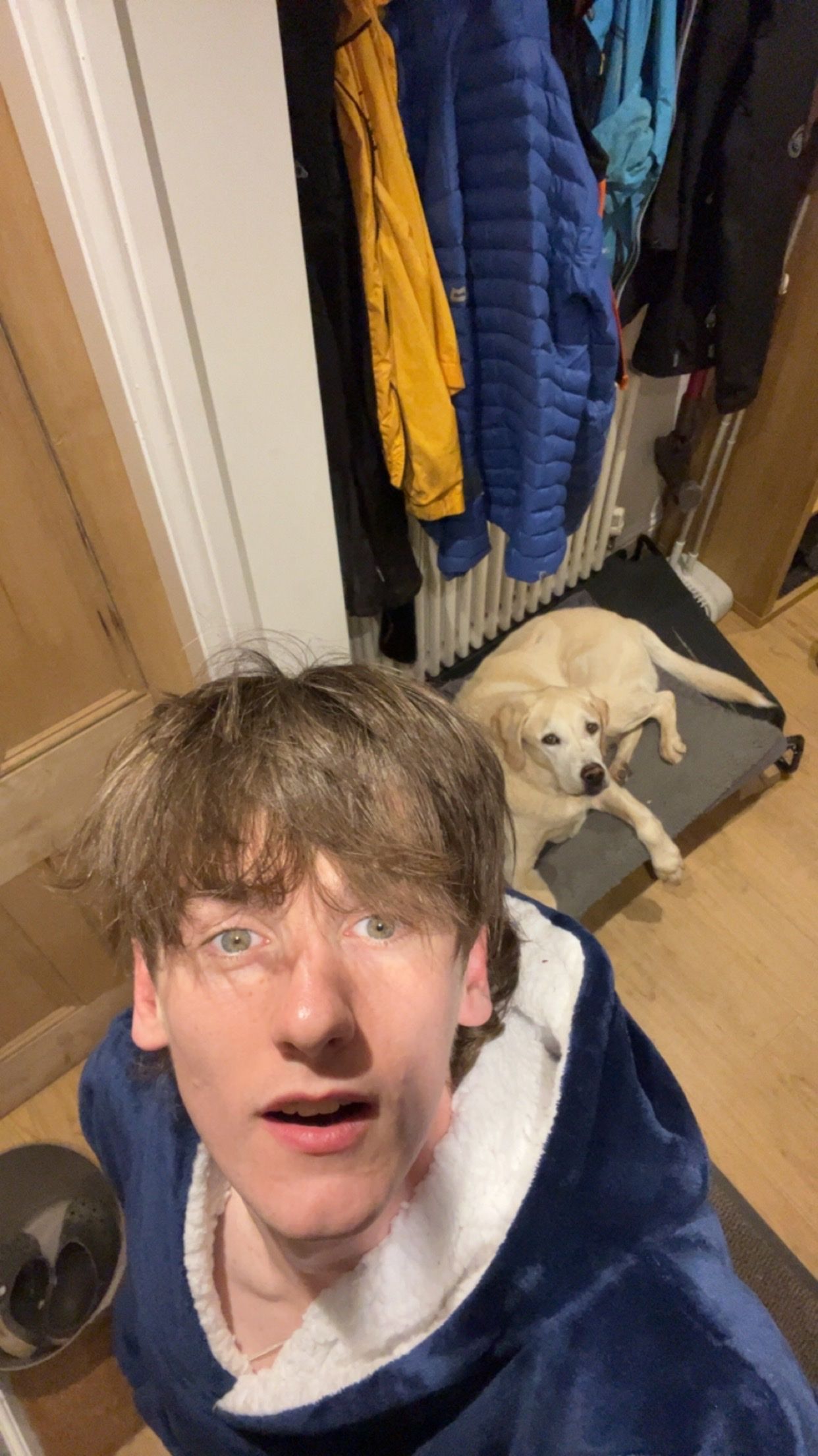 image-2