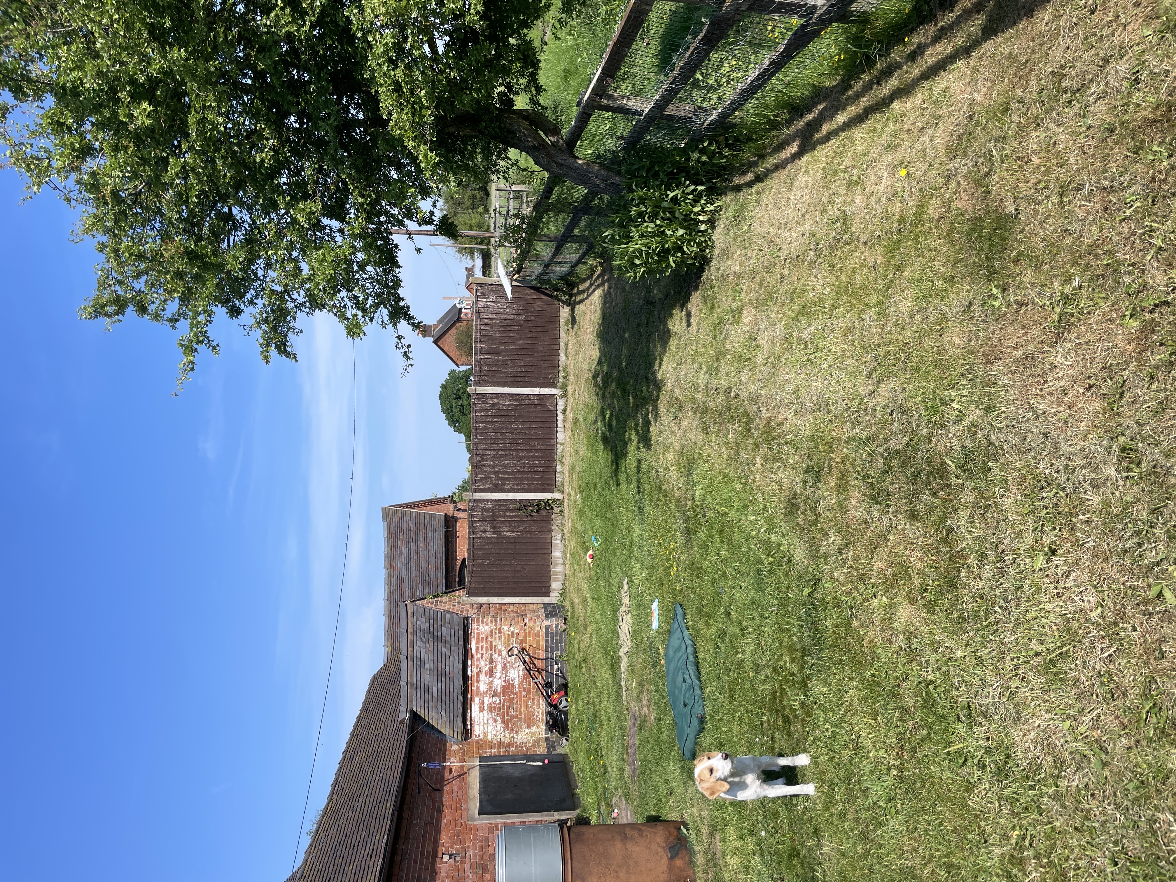 image-19