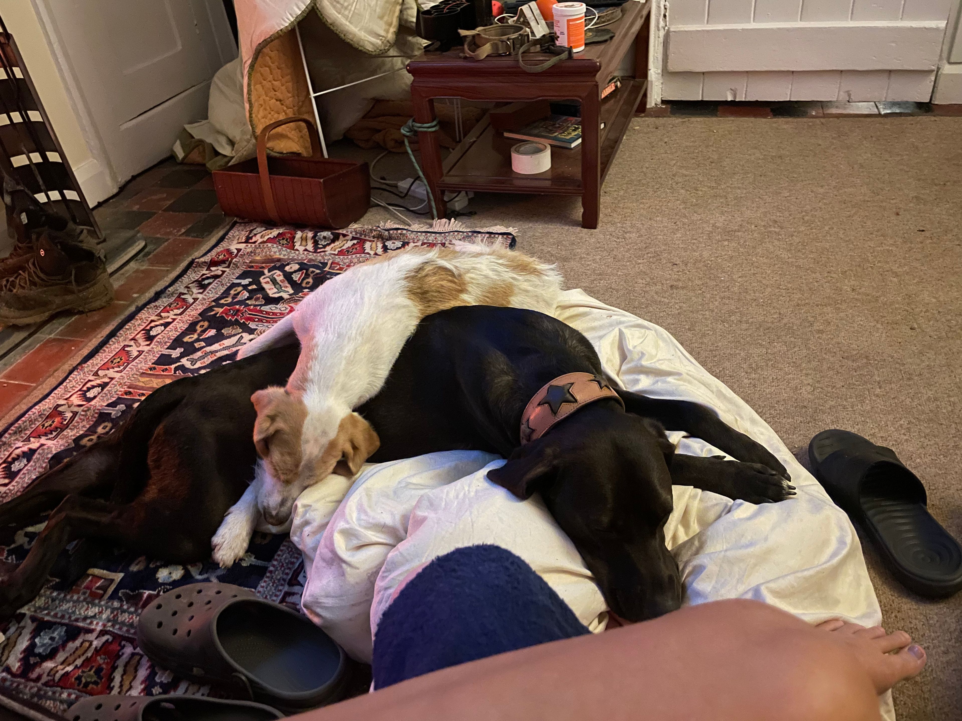 image-7