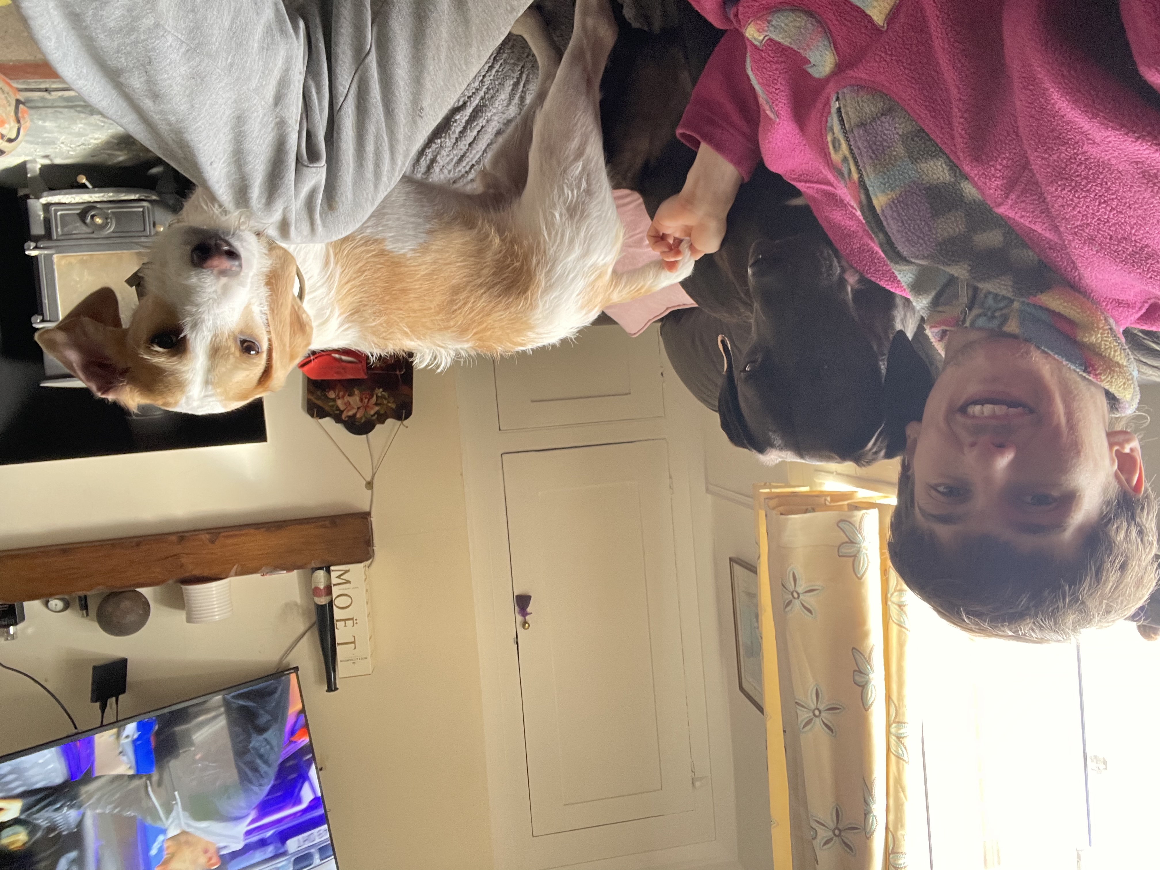 image-1