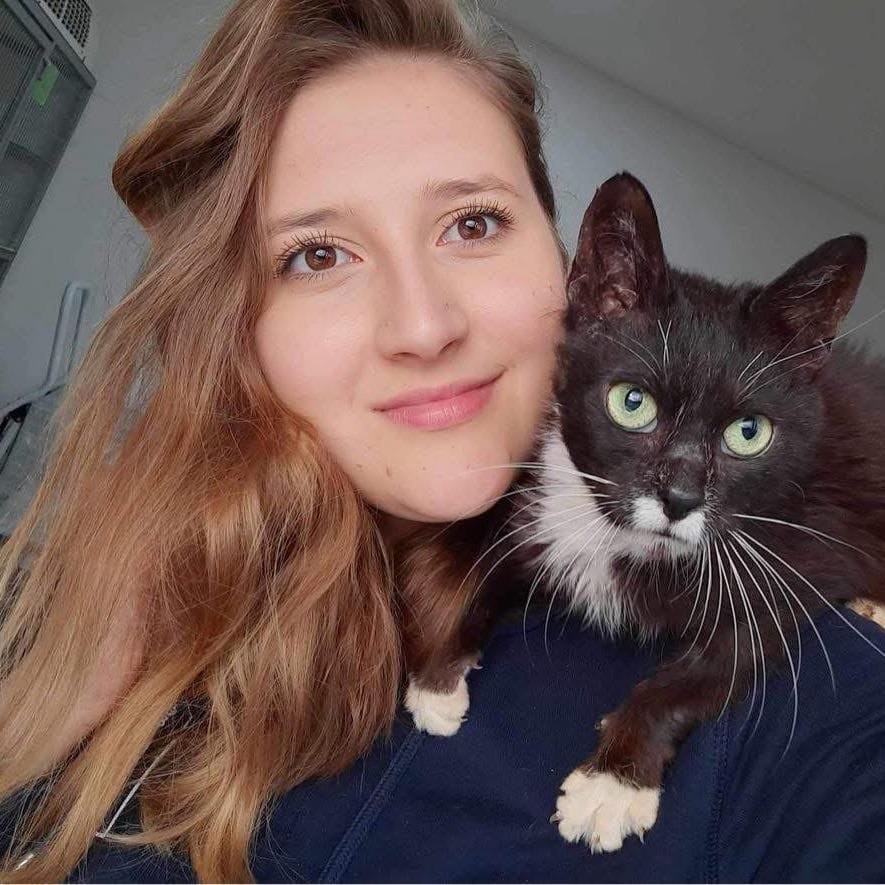 Elisa