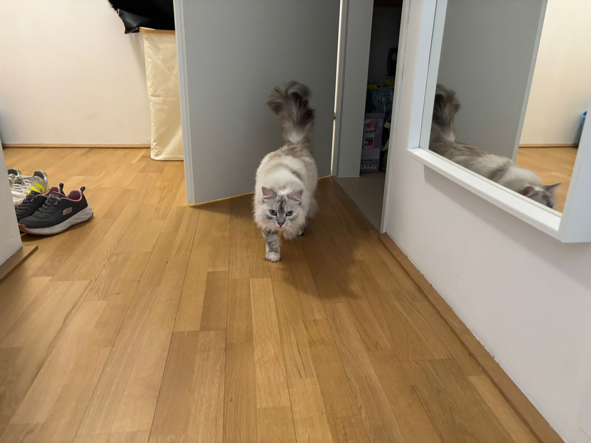 image-14