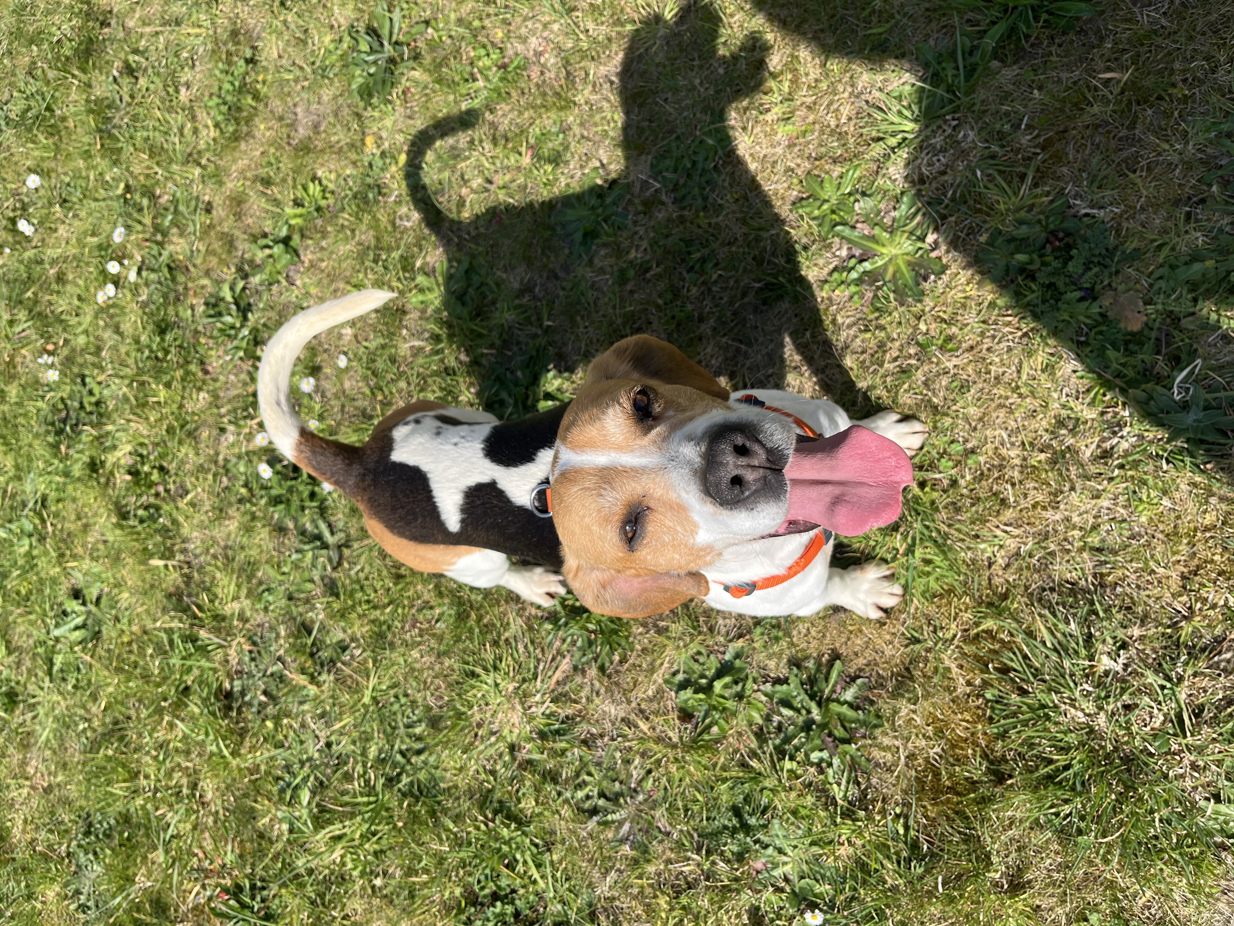 image-6