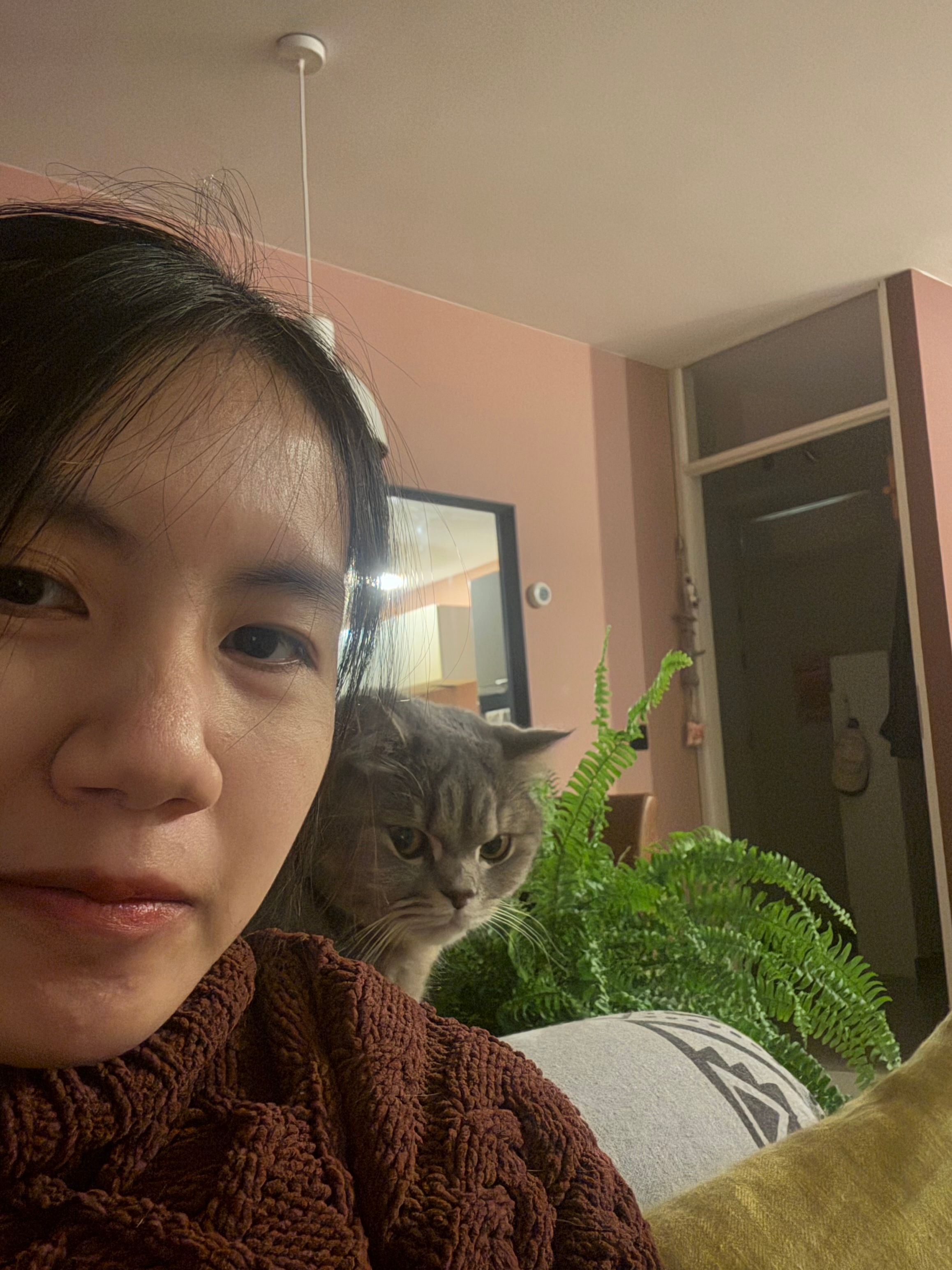 image-3