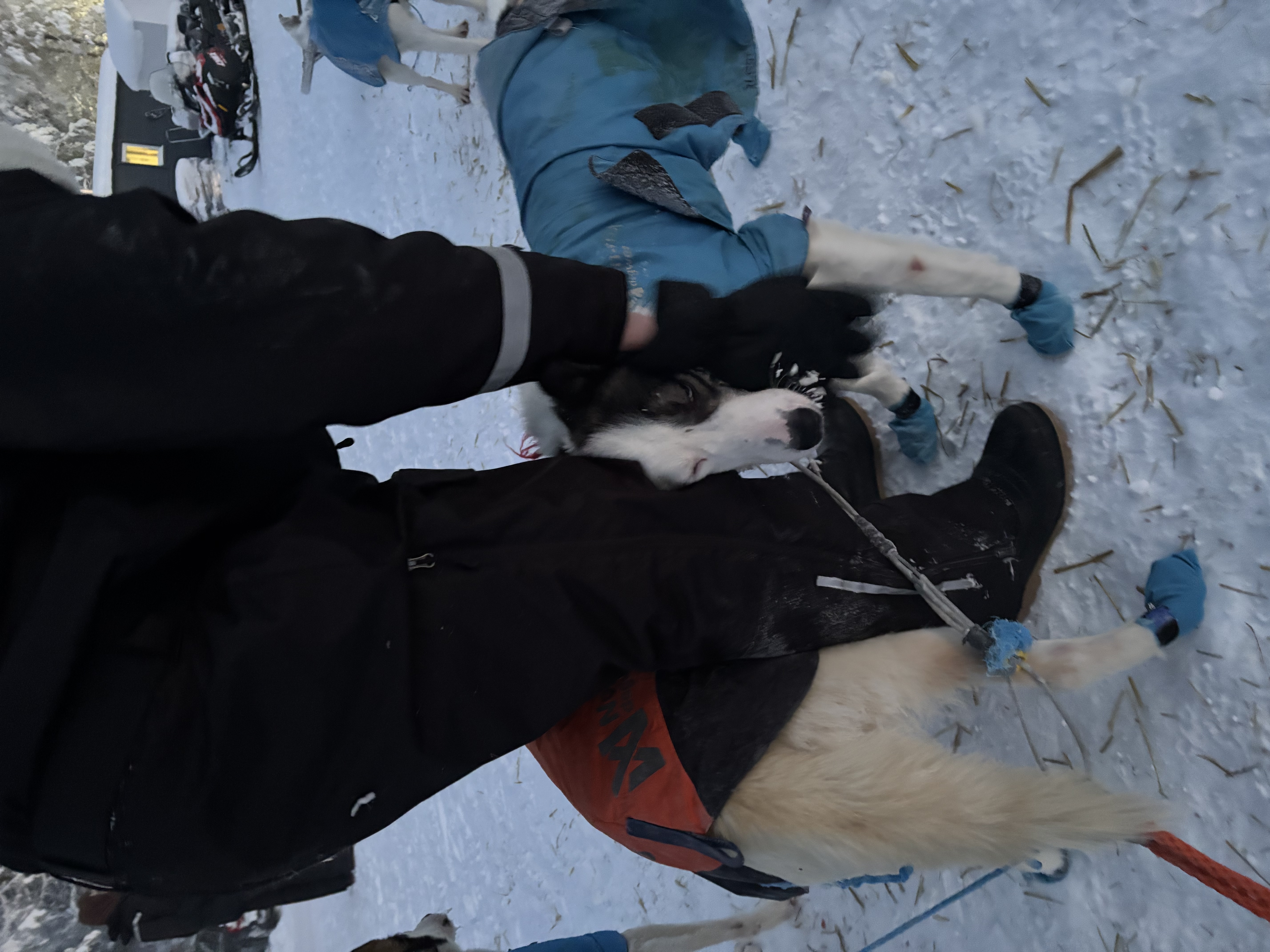 image-1