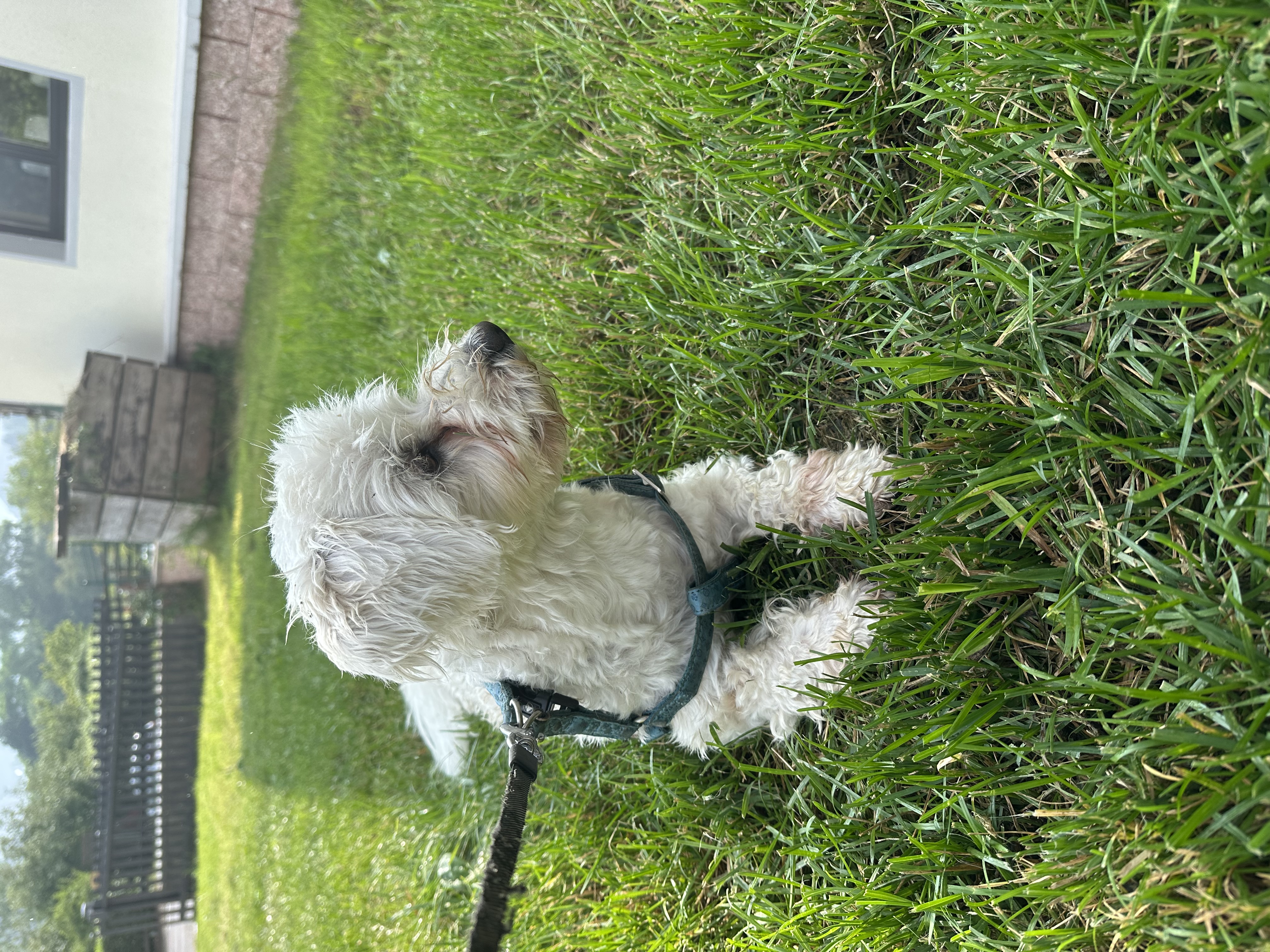 image-6