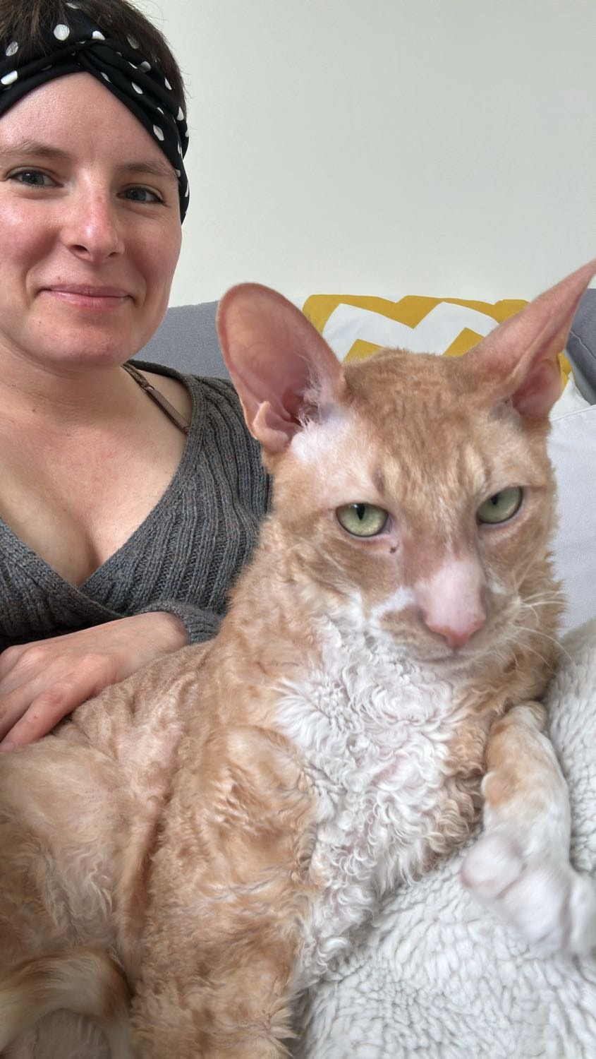 image-10