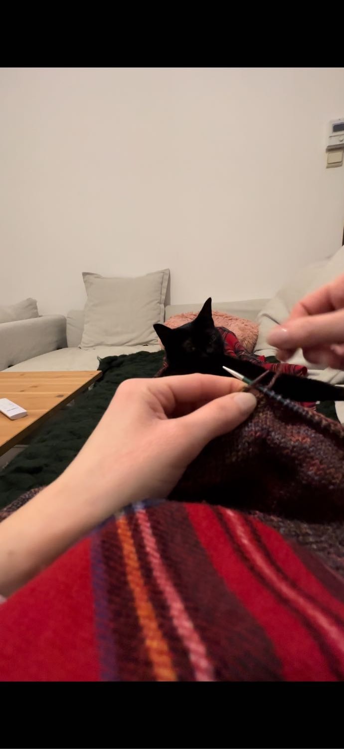 image-6