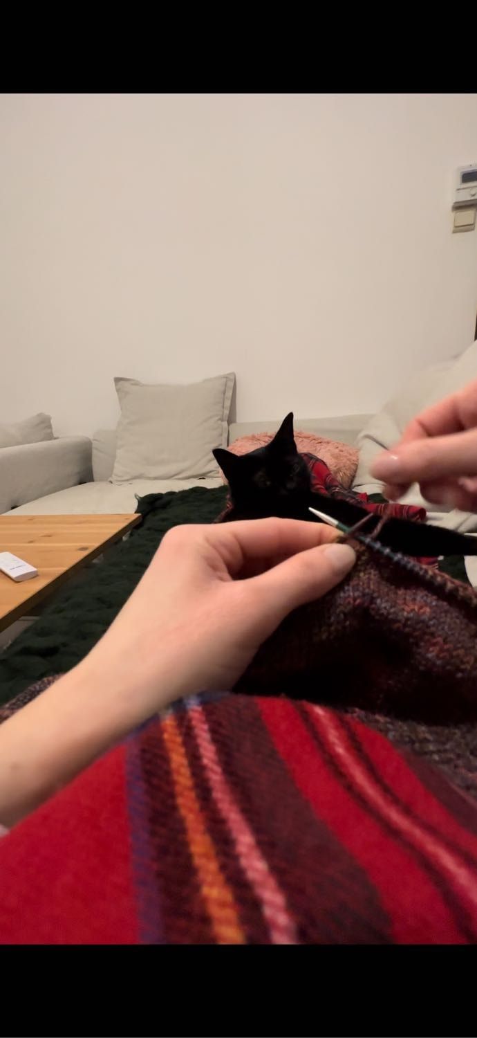 image-6