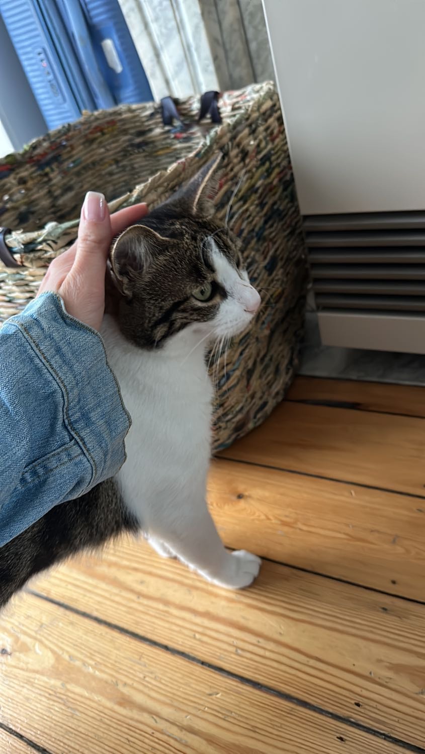 image-7