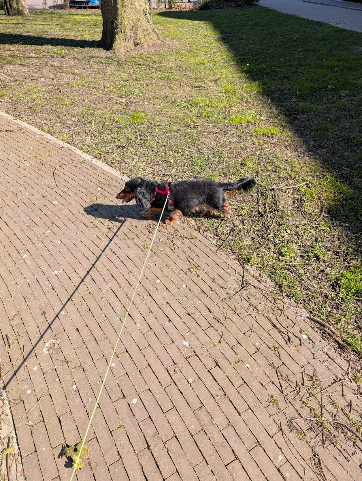 image-9