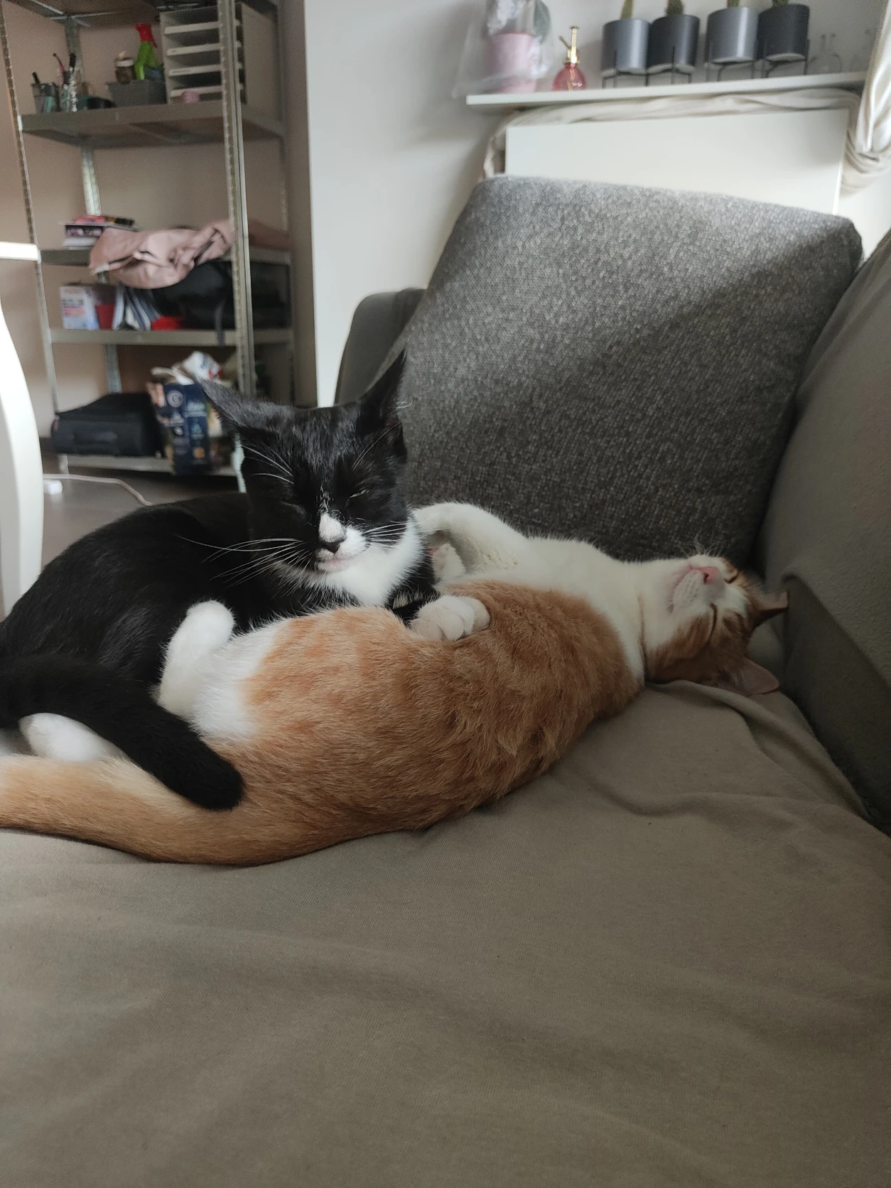 image-6