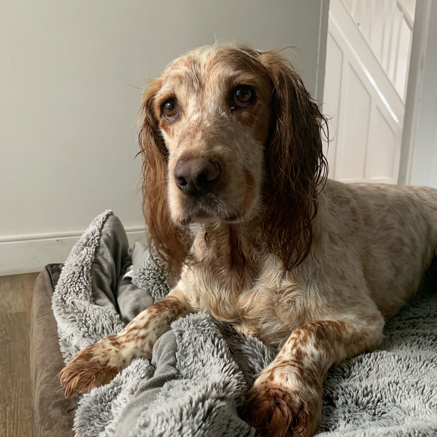Max