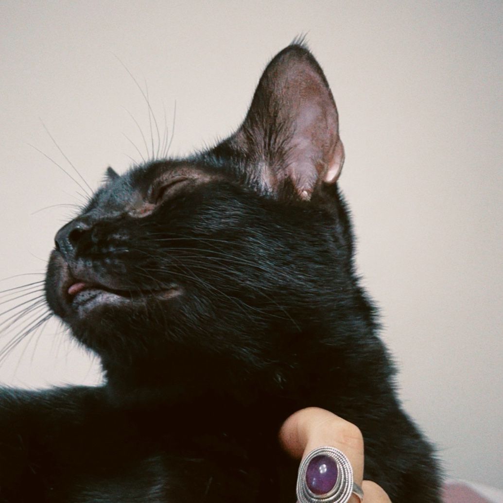 Ollie