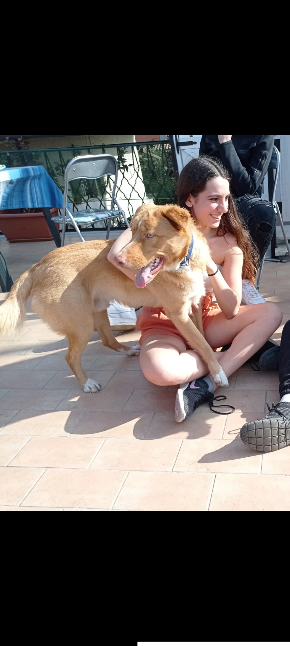 image-7