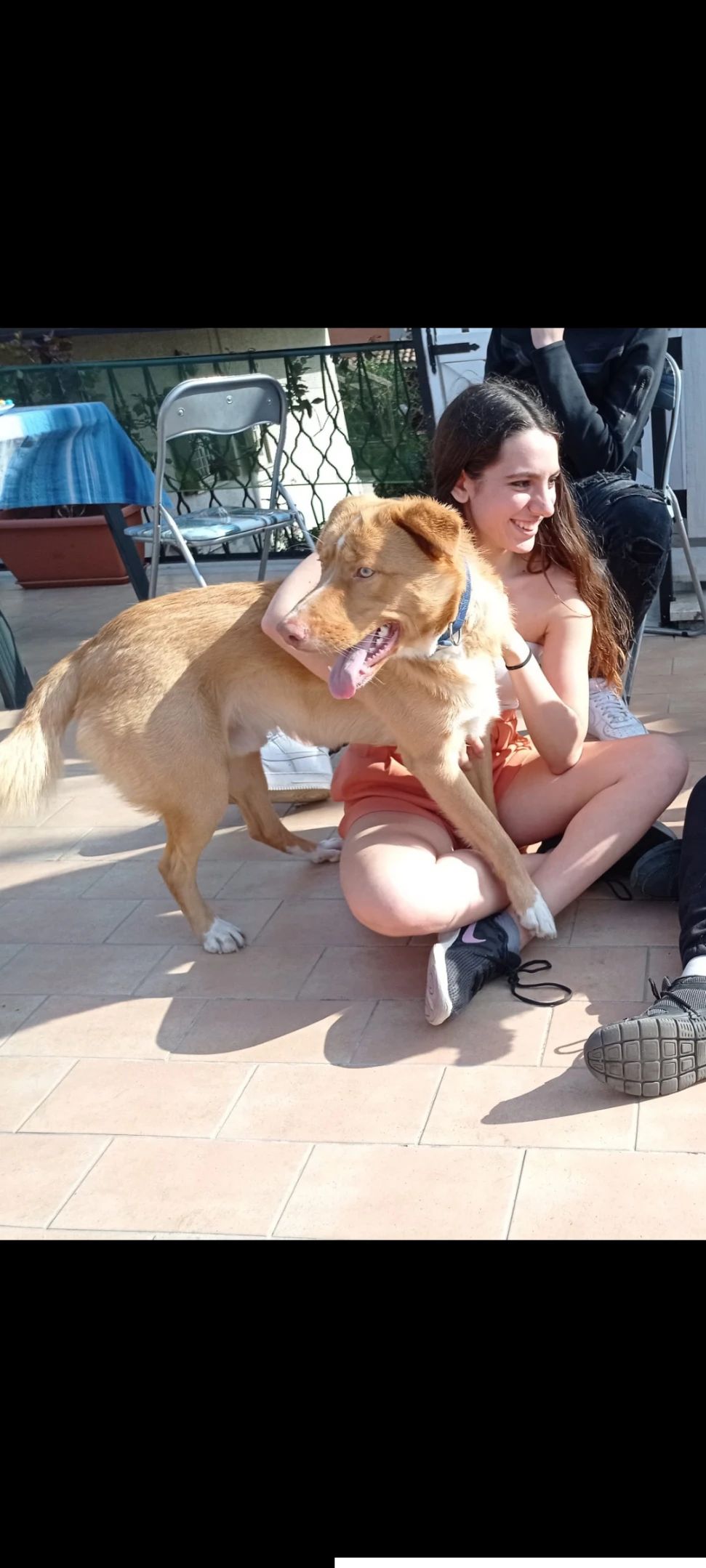 image-7