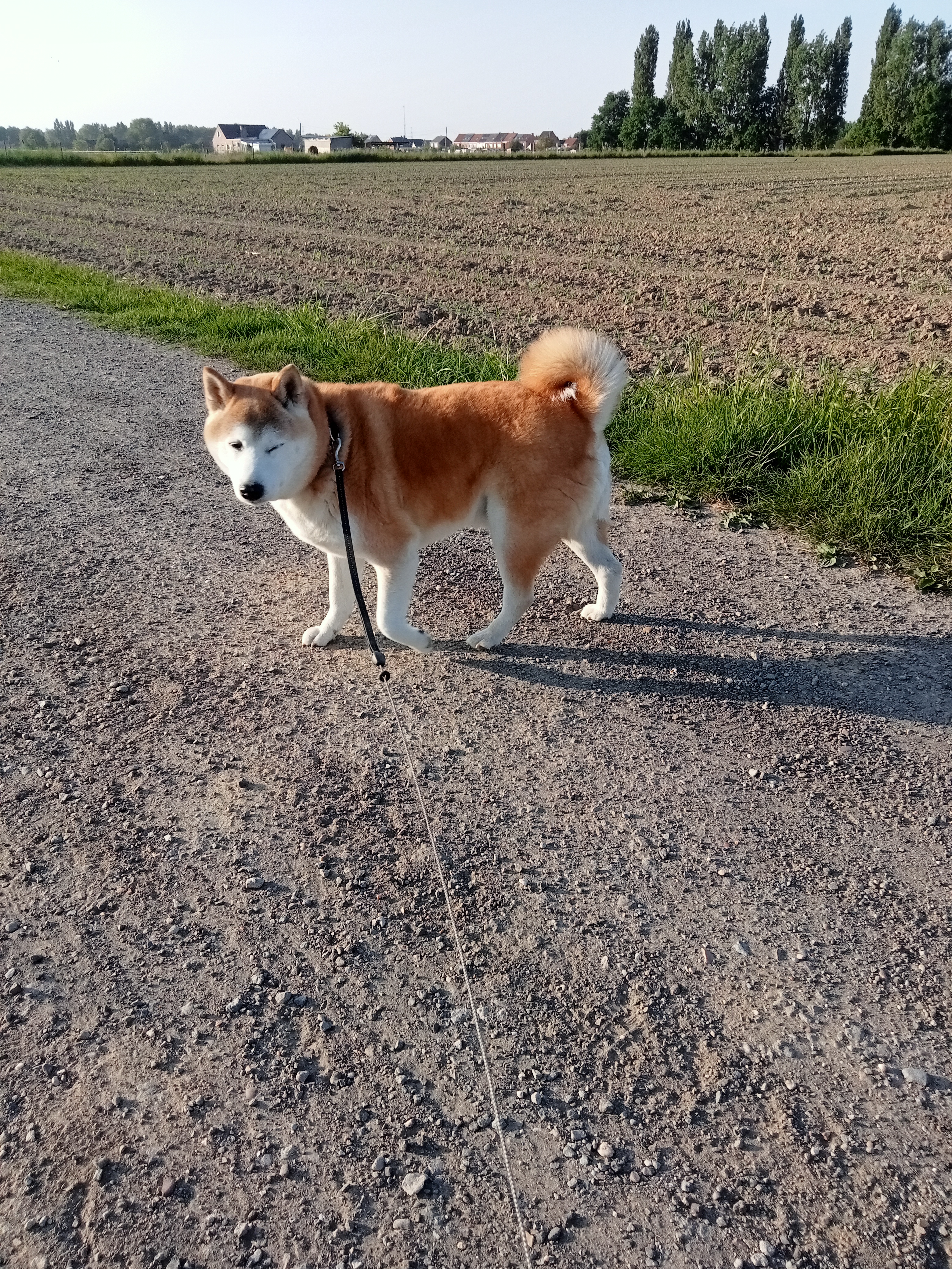 image-14