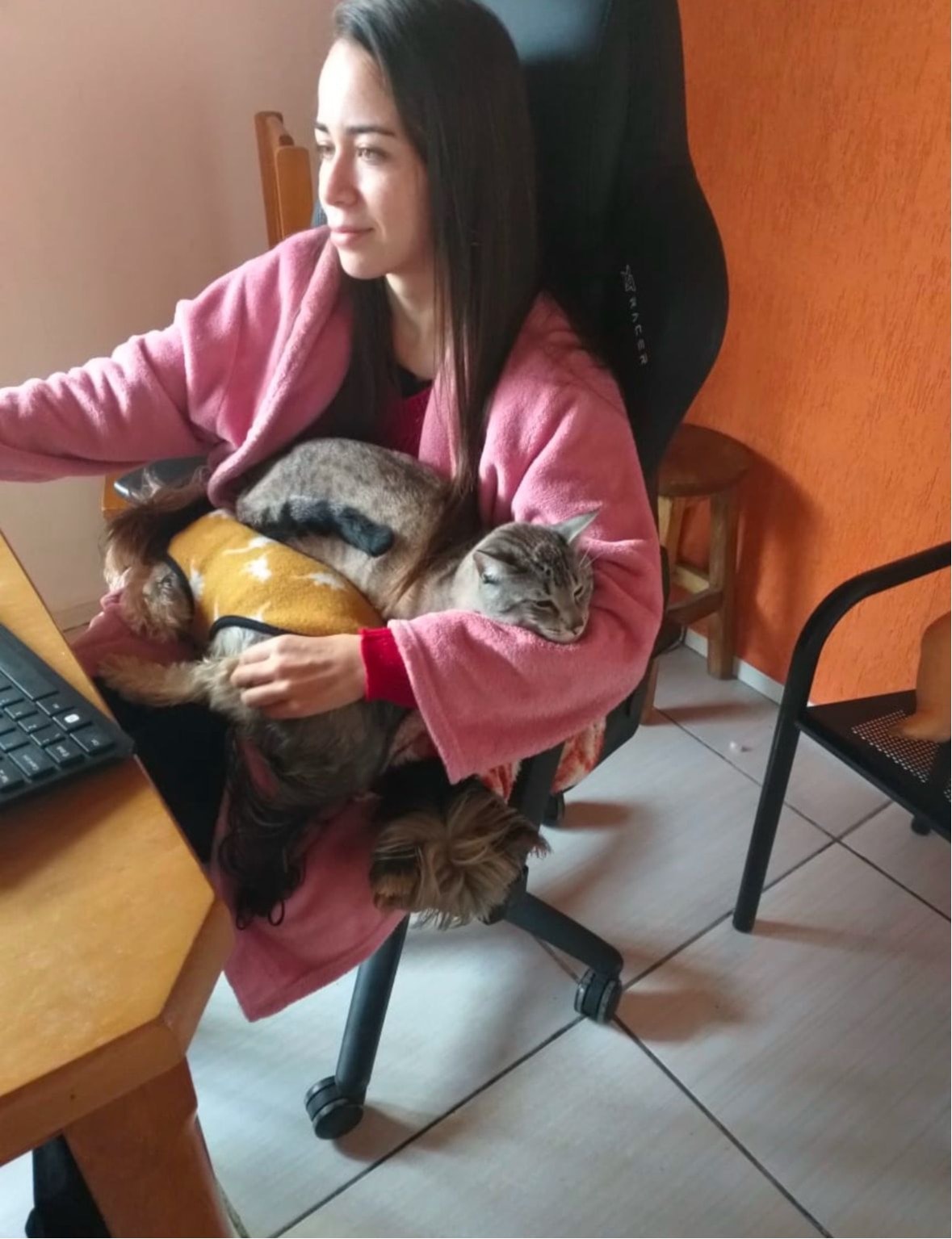 image-2