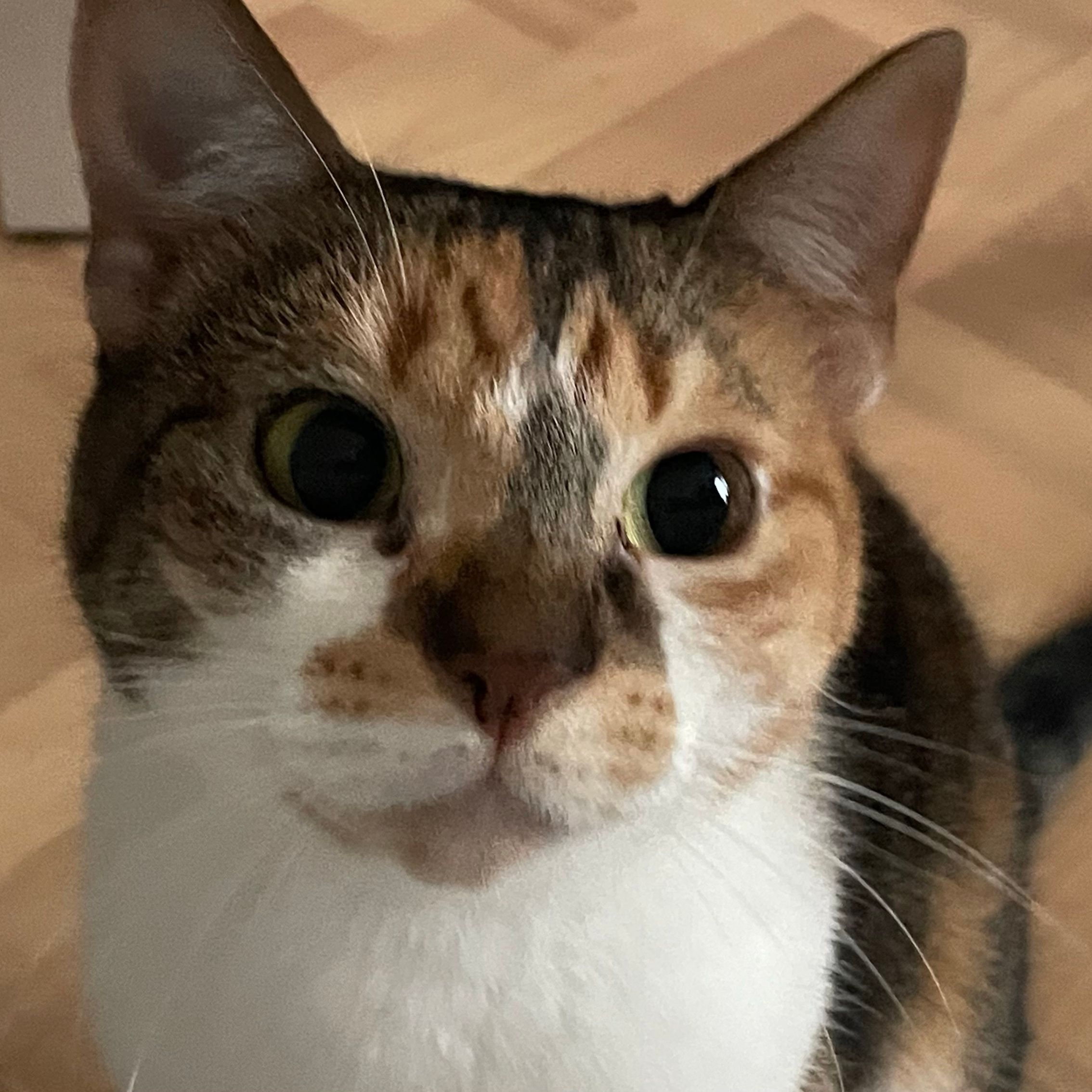 Margo