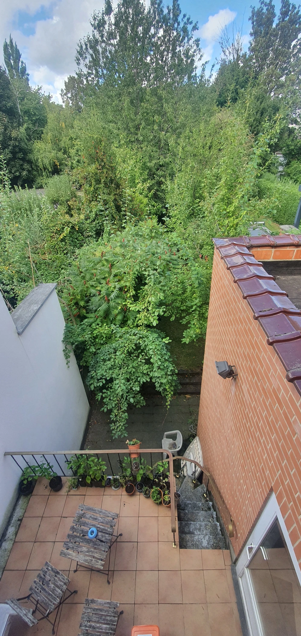 image-12