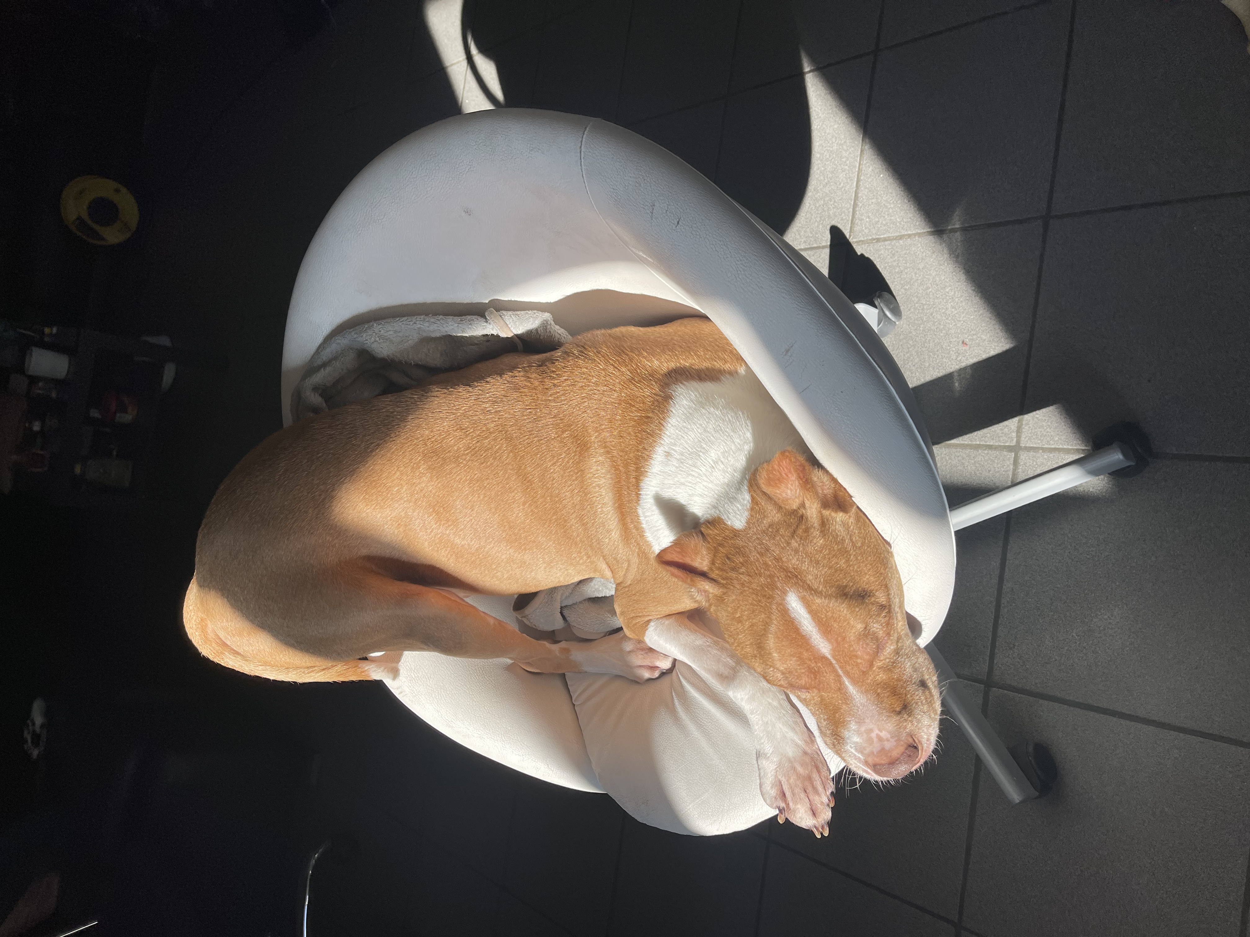 image-6