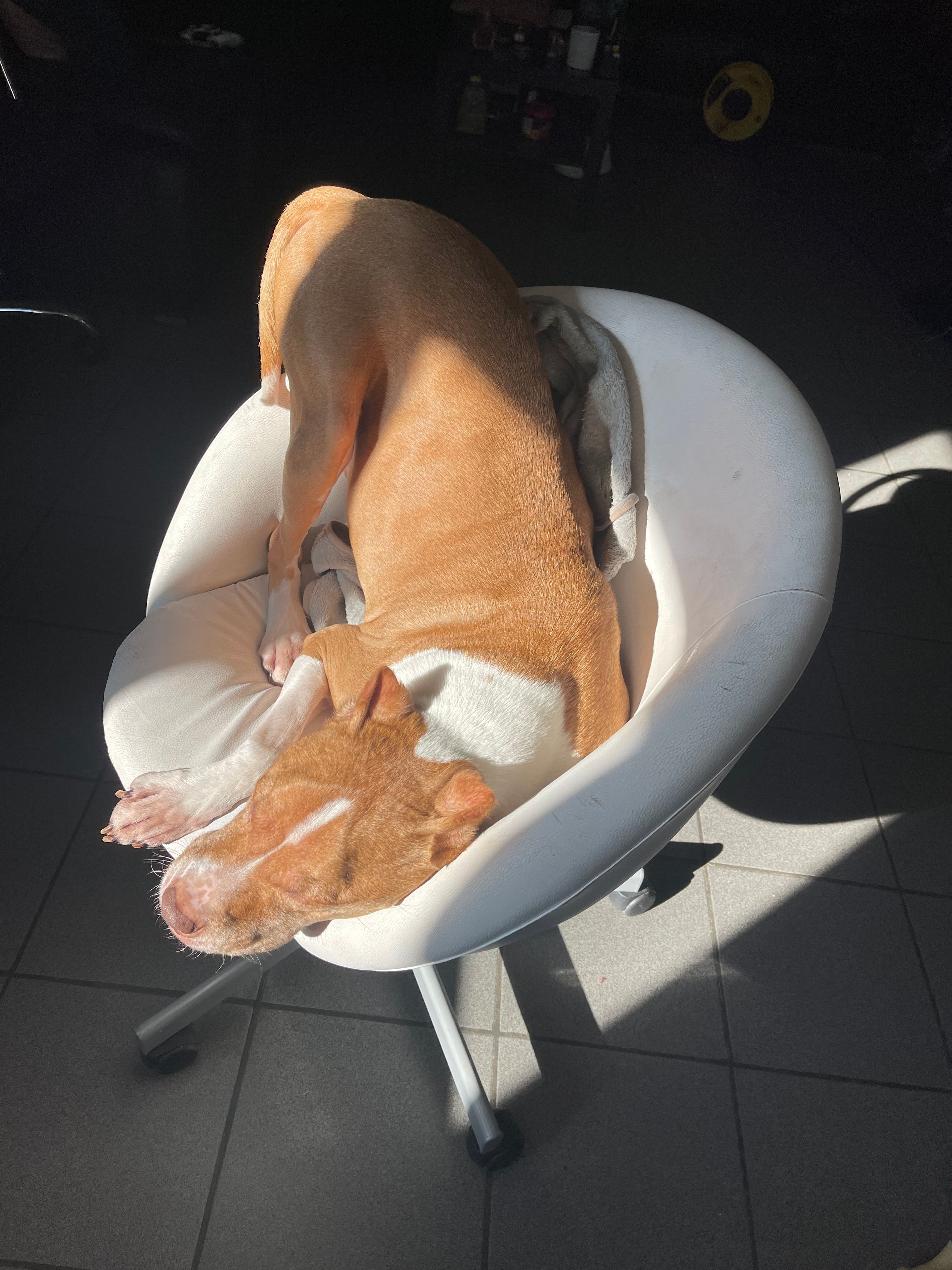 image-6