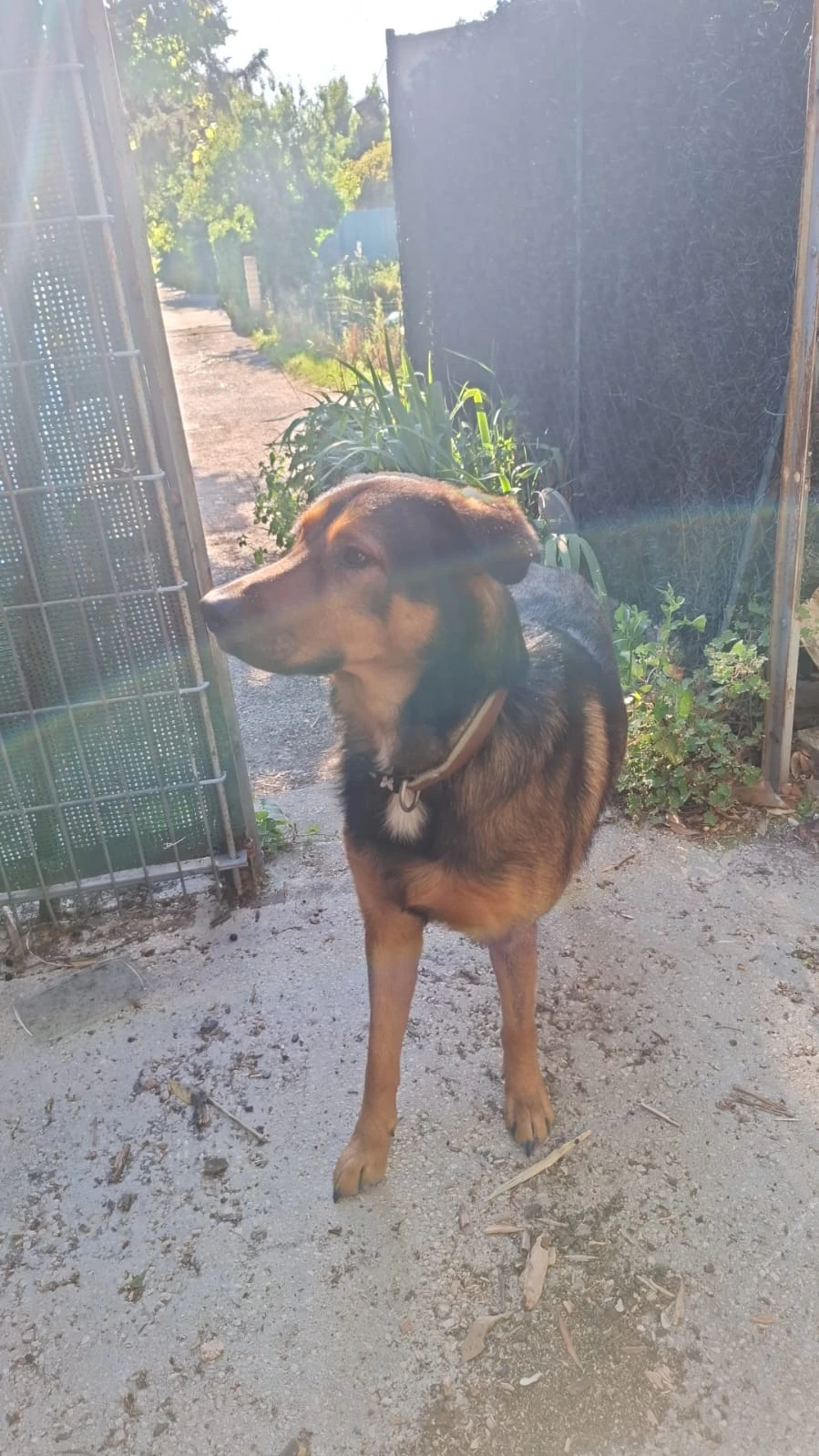 image-8