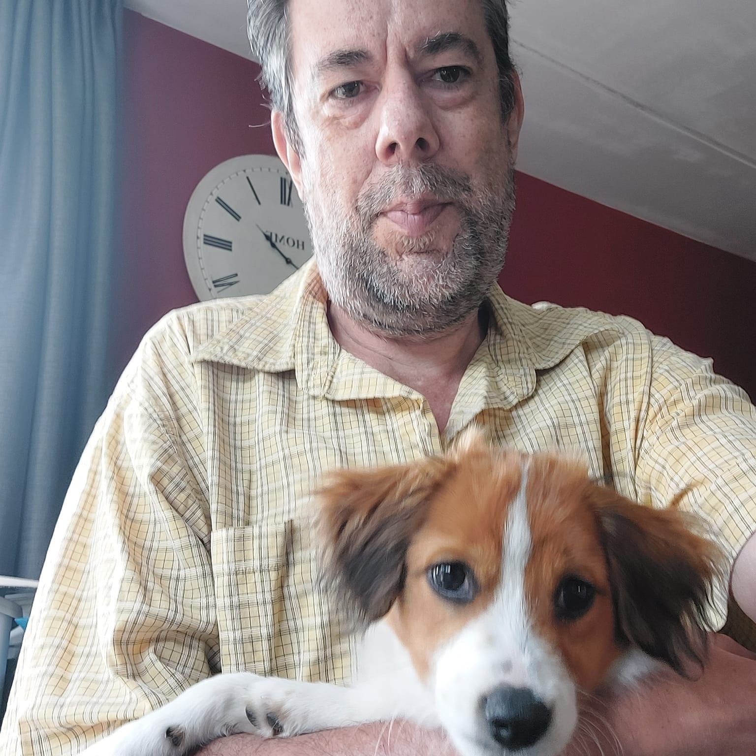 Ludo