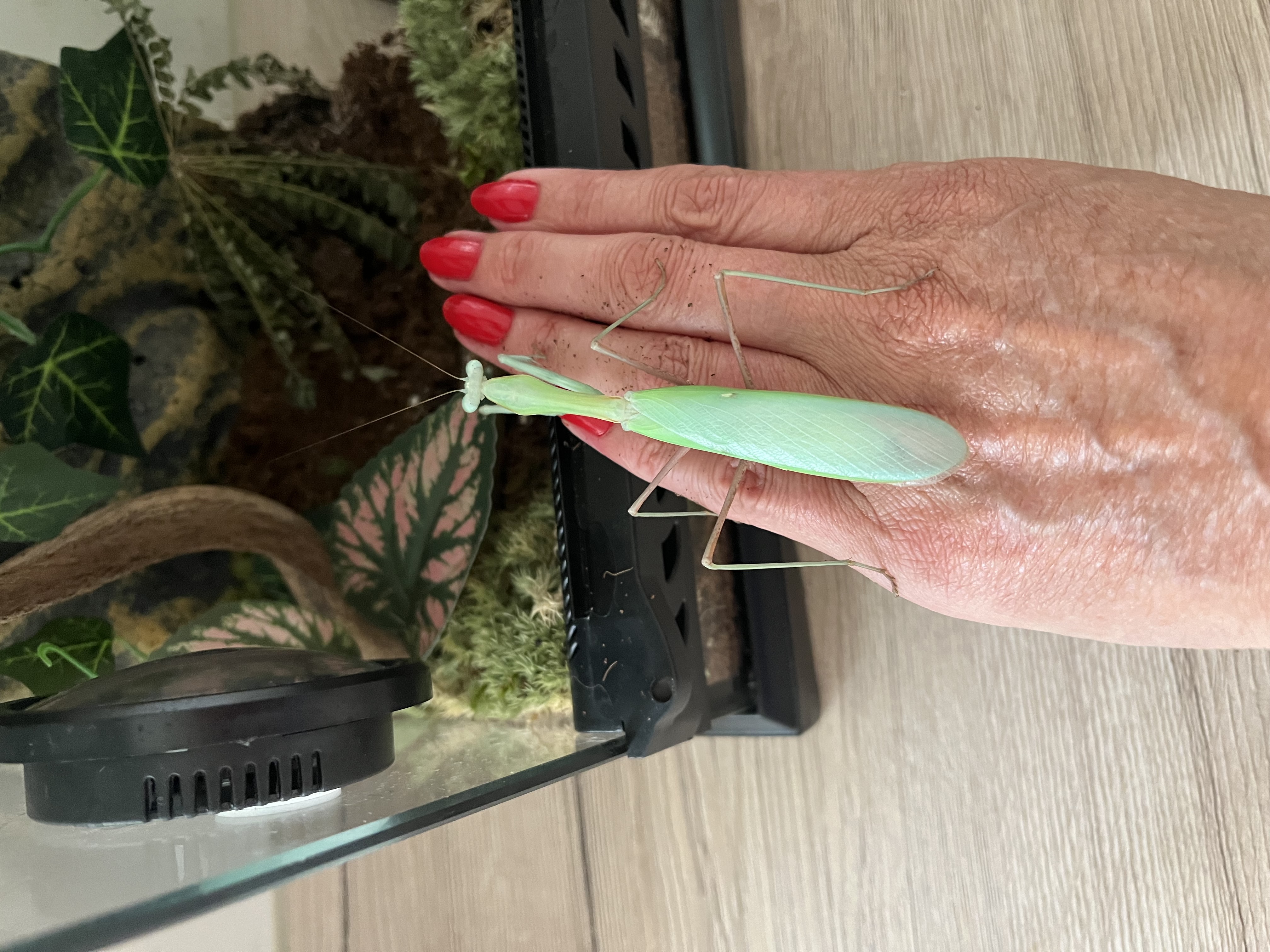 image-6