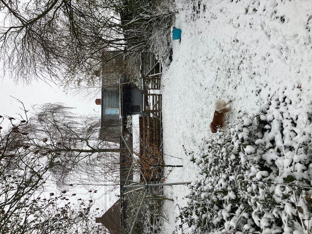 image-10