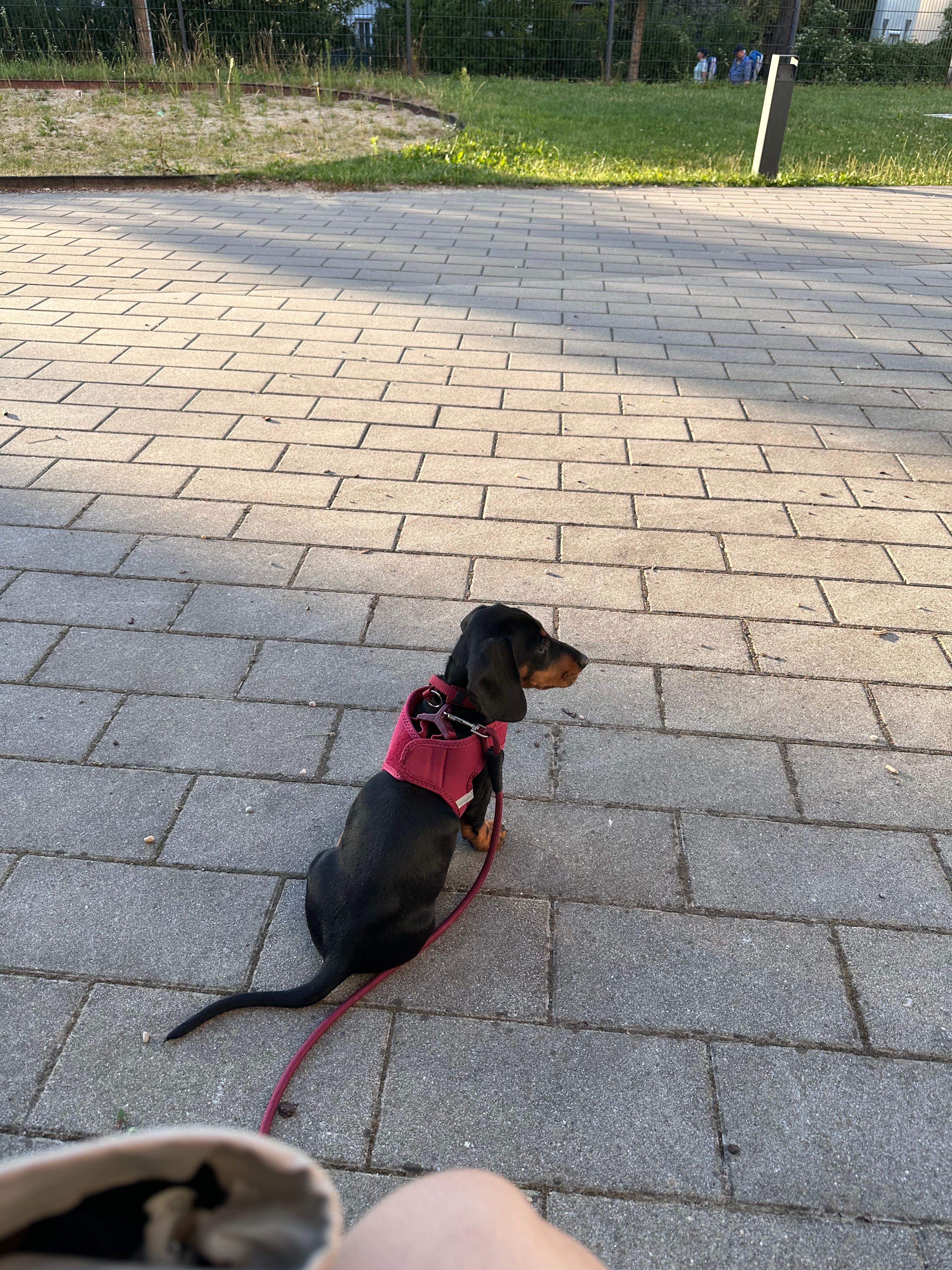 image-19