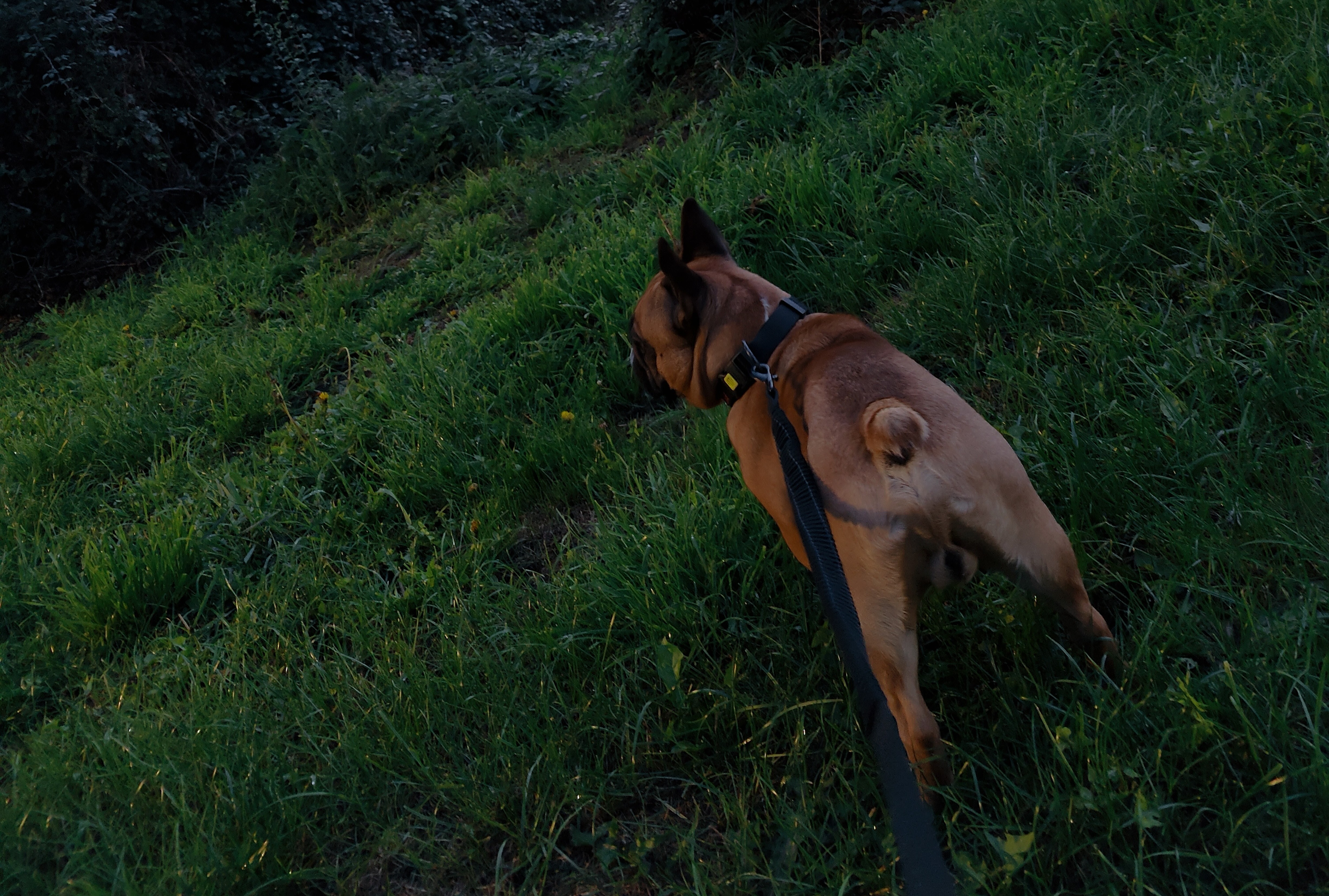 image-10