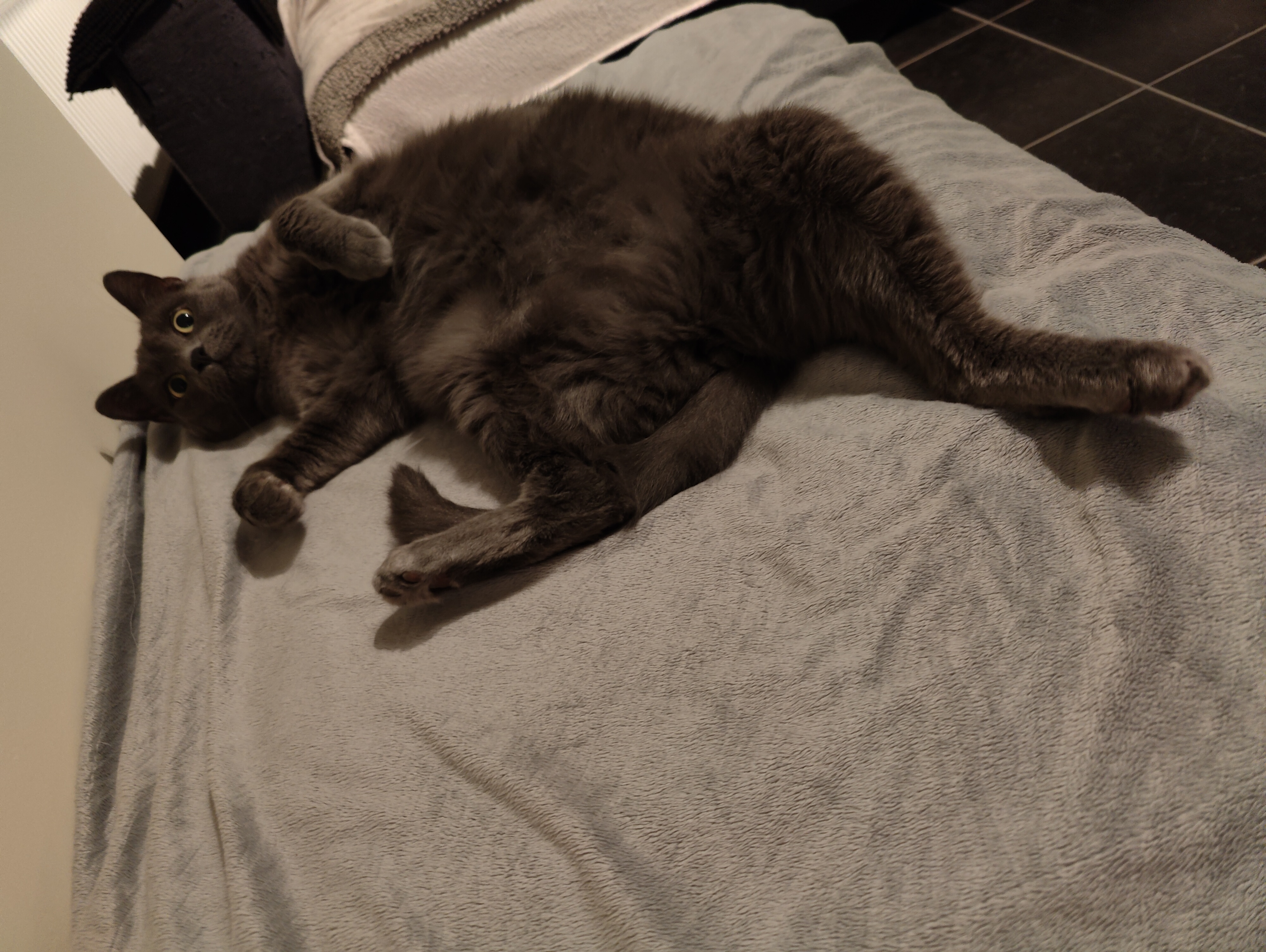 image-8