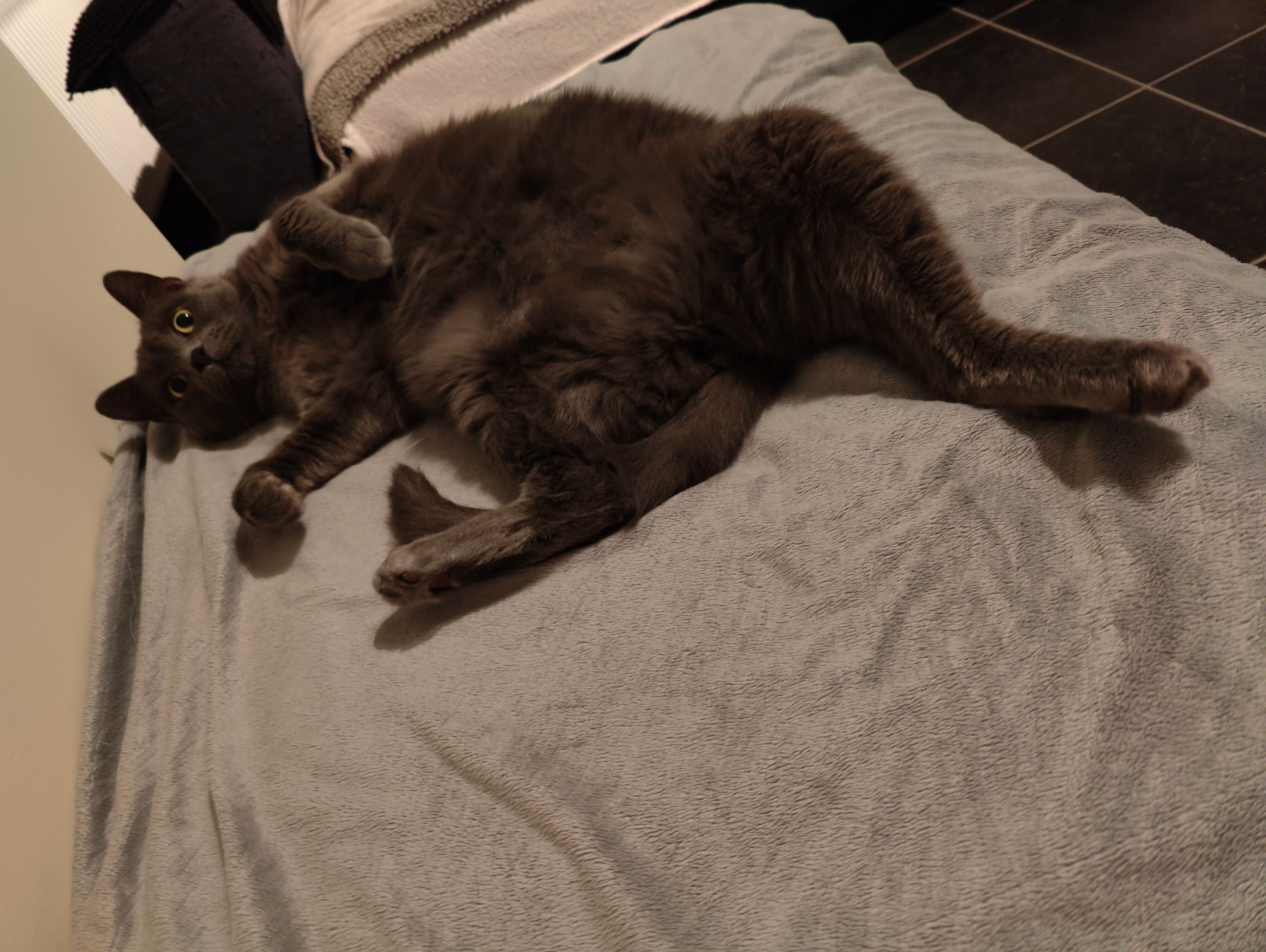 image-8