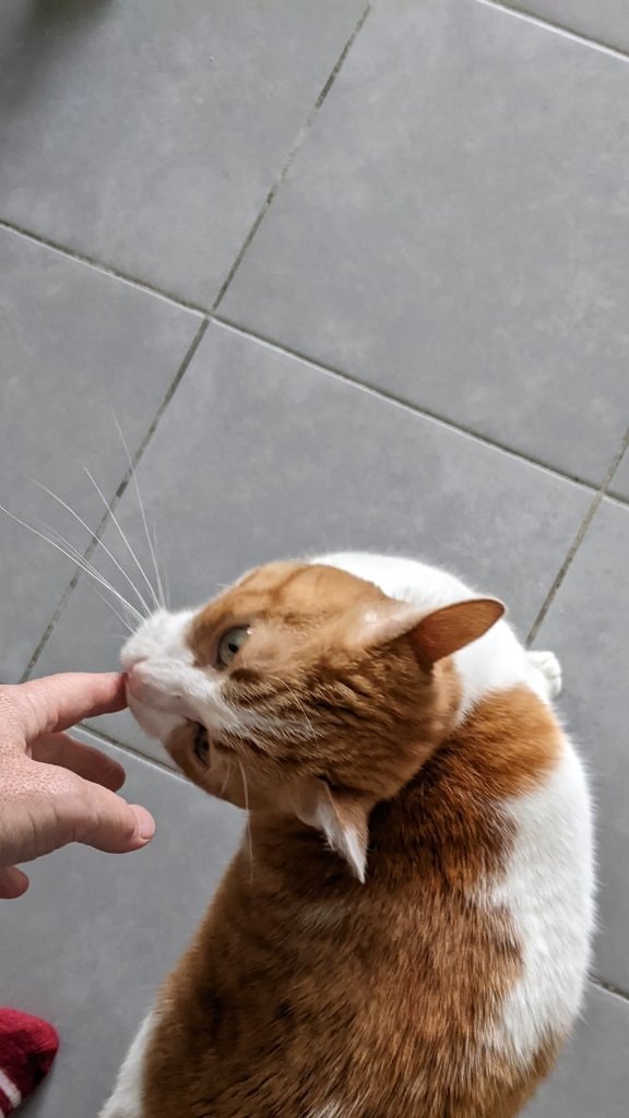 image-8