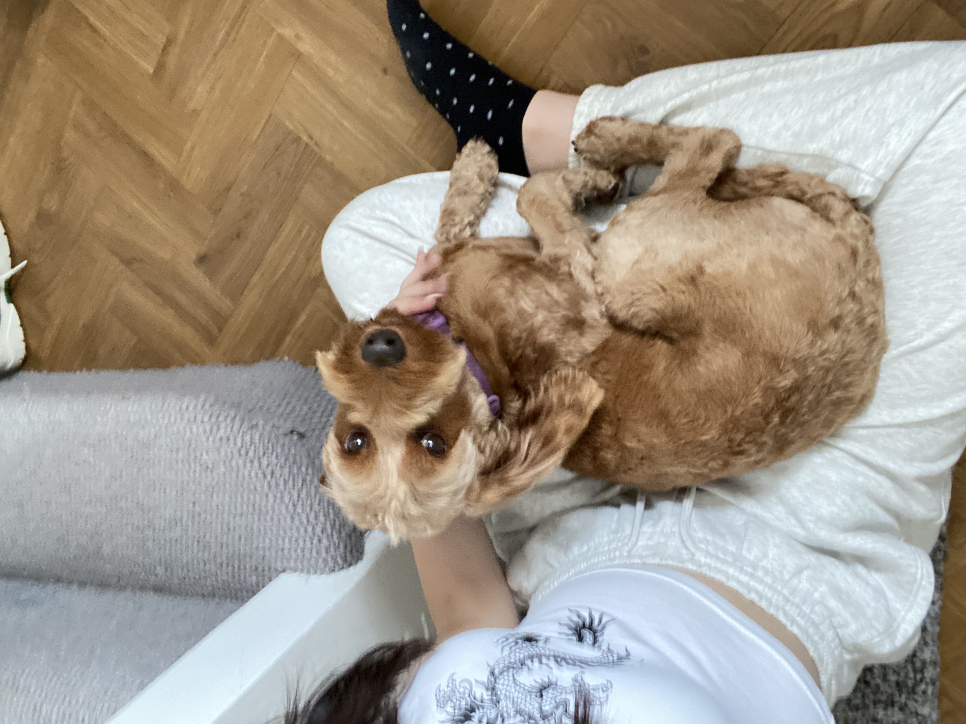 image-8
