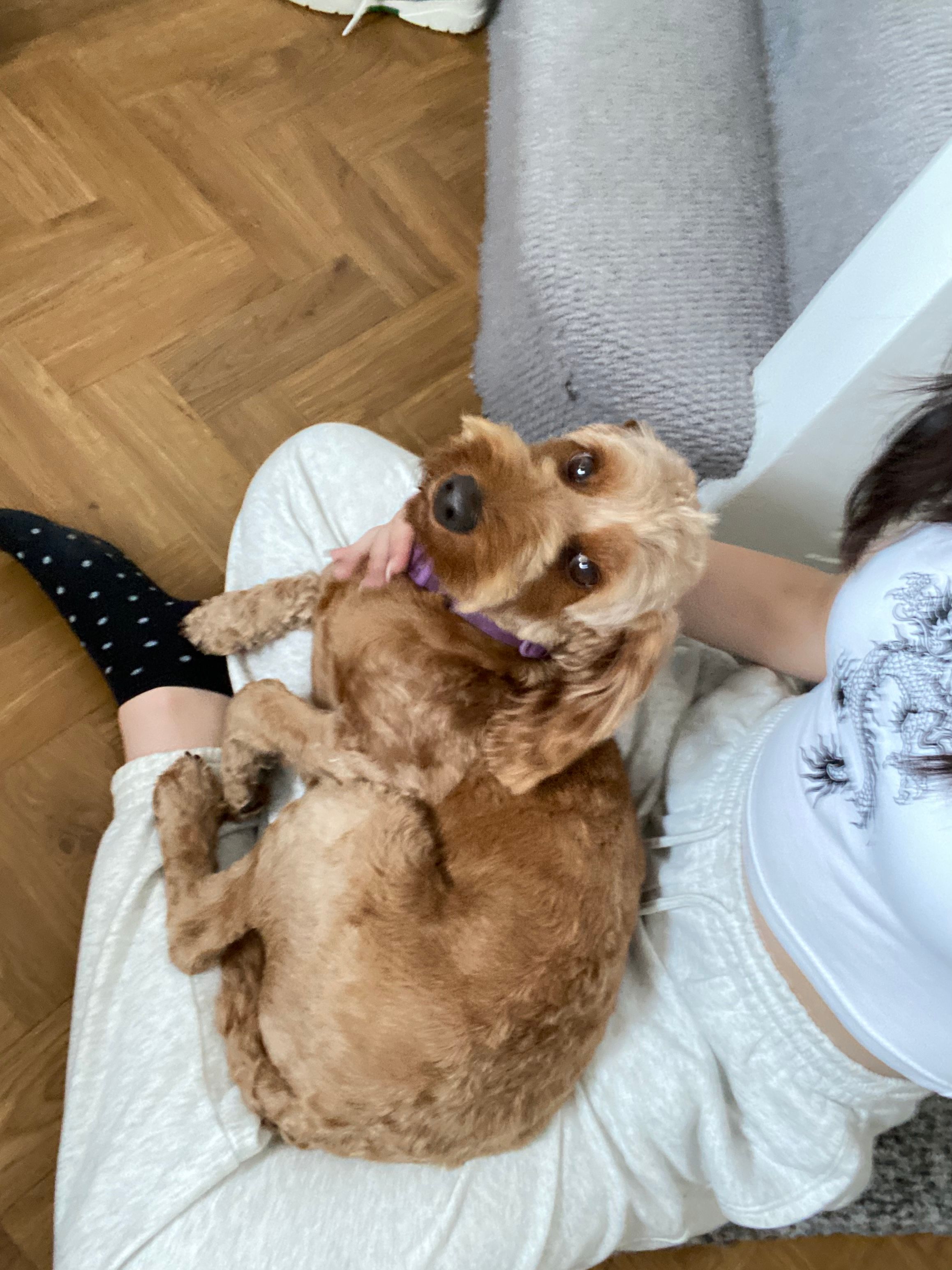 image-8