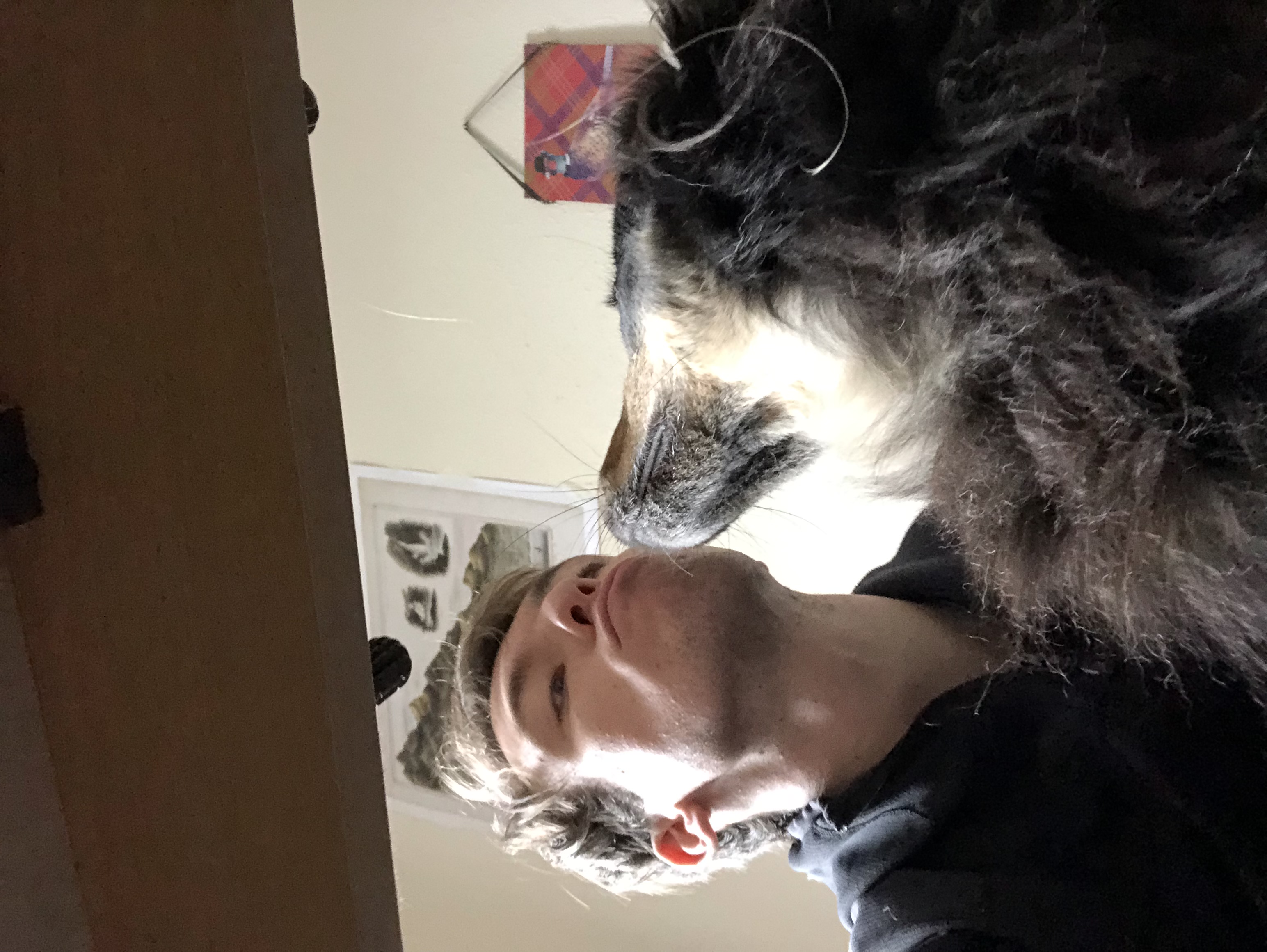 image-6