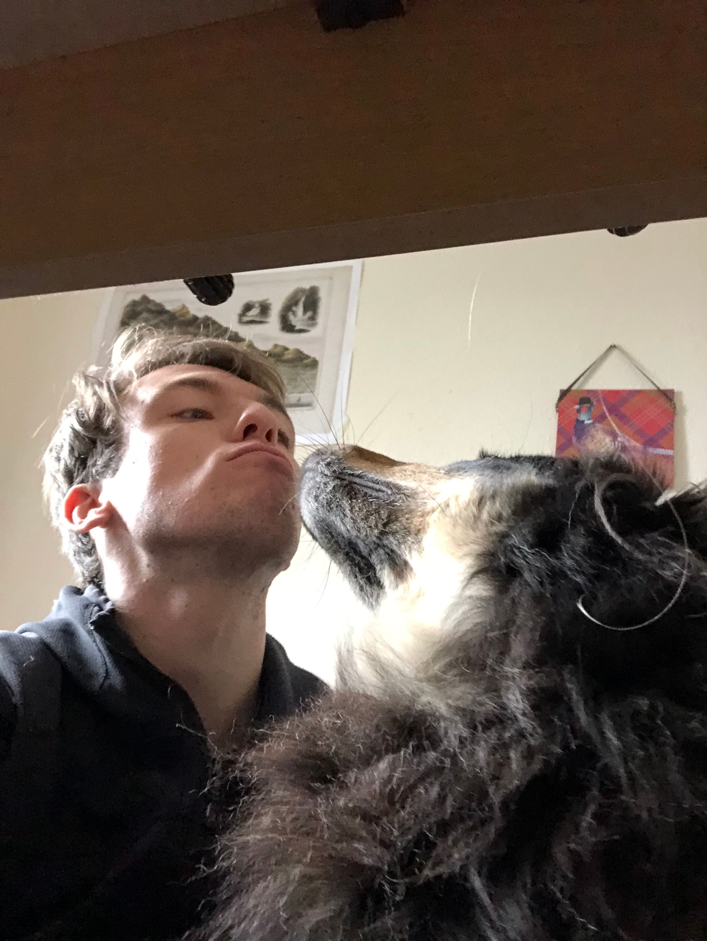 image-6