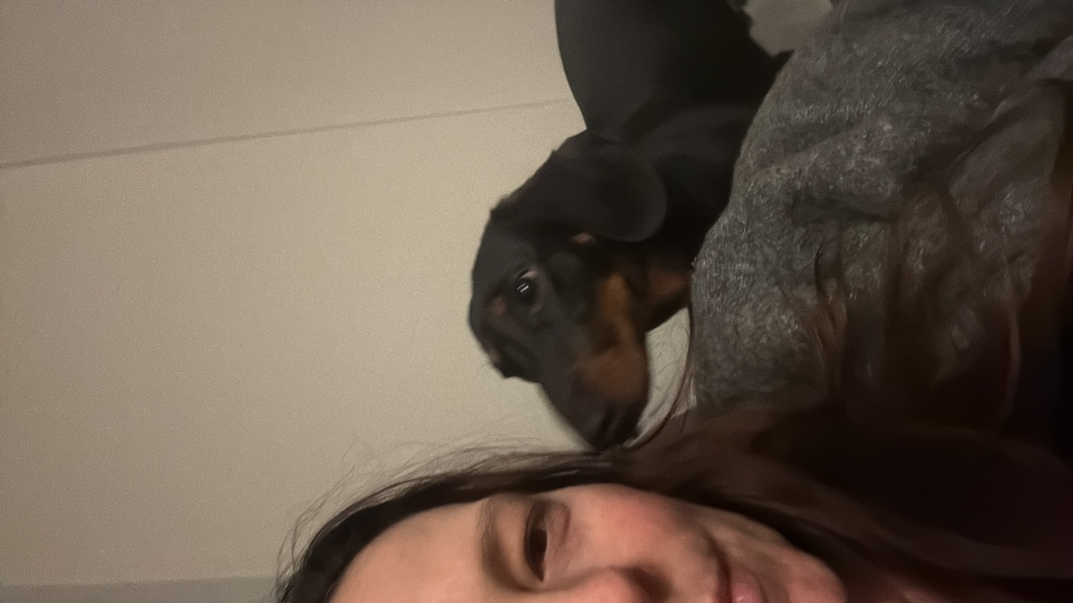 image-6