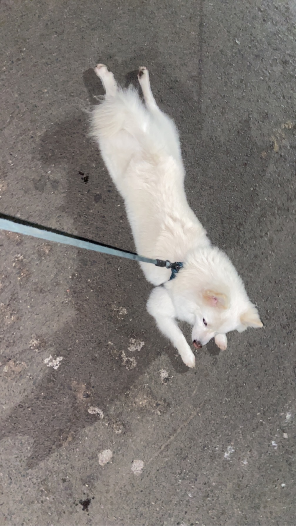 image-6