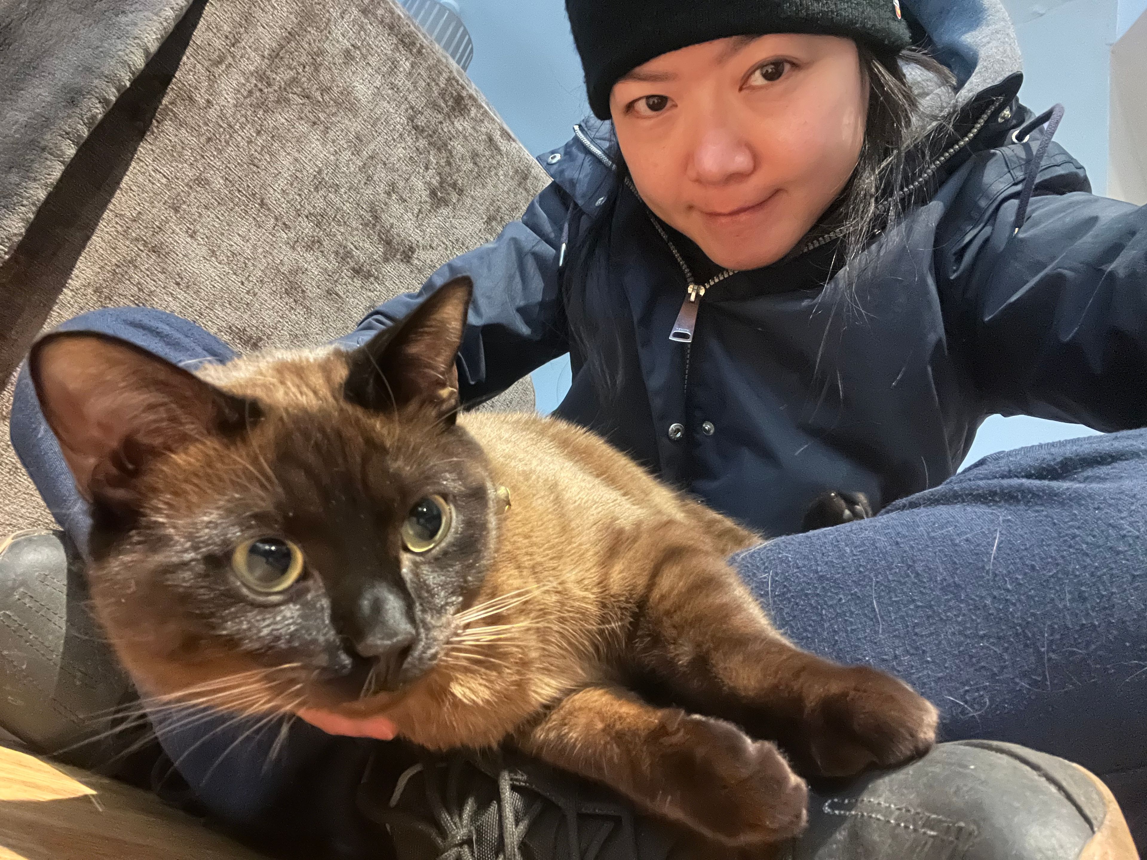 image-6