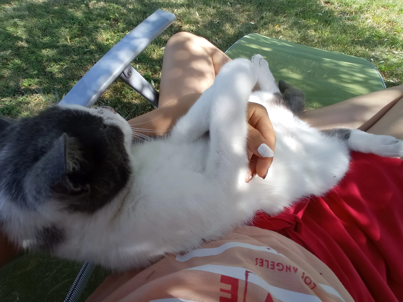 image-7